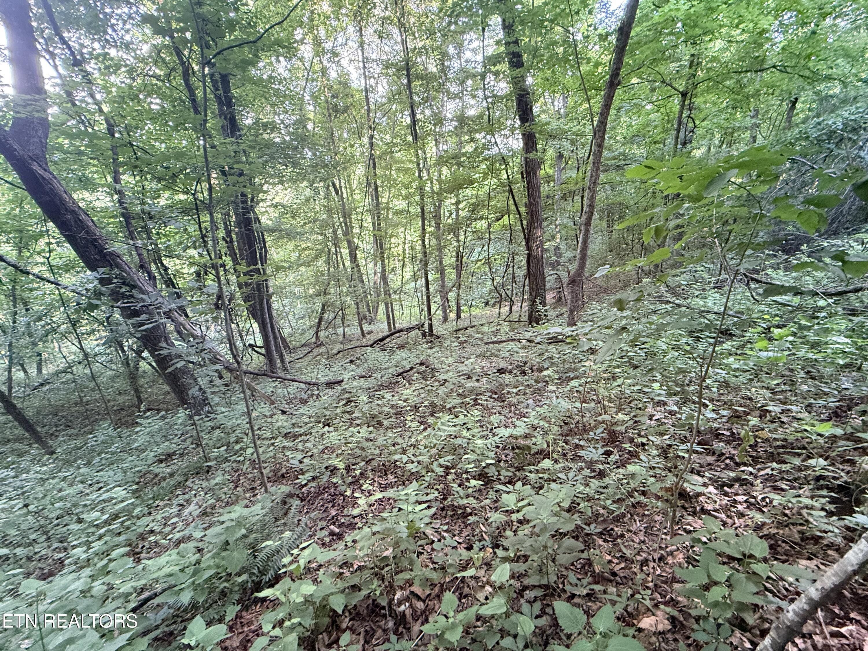 Lot 188 Chimney Rock Road New Tazewell TN 37825