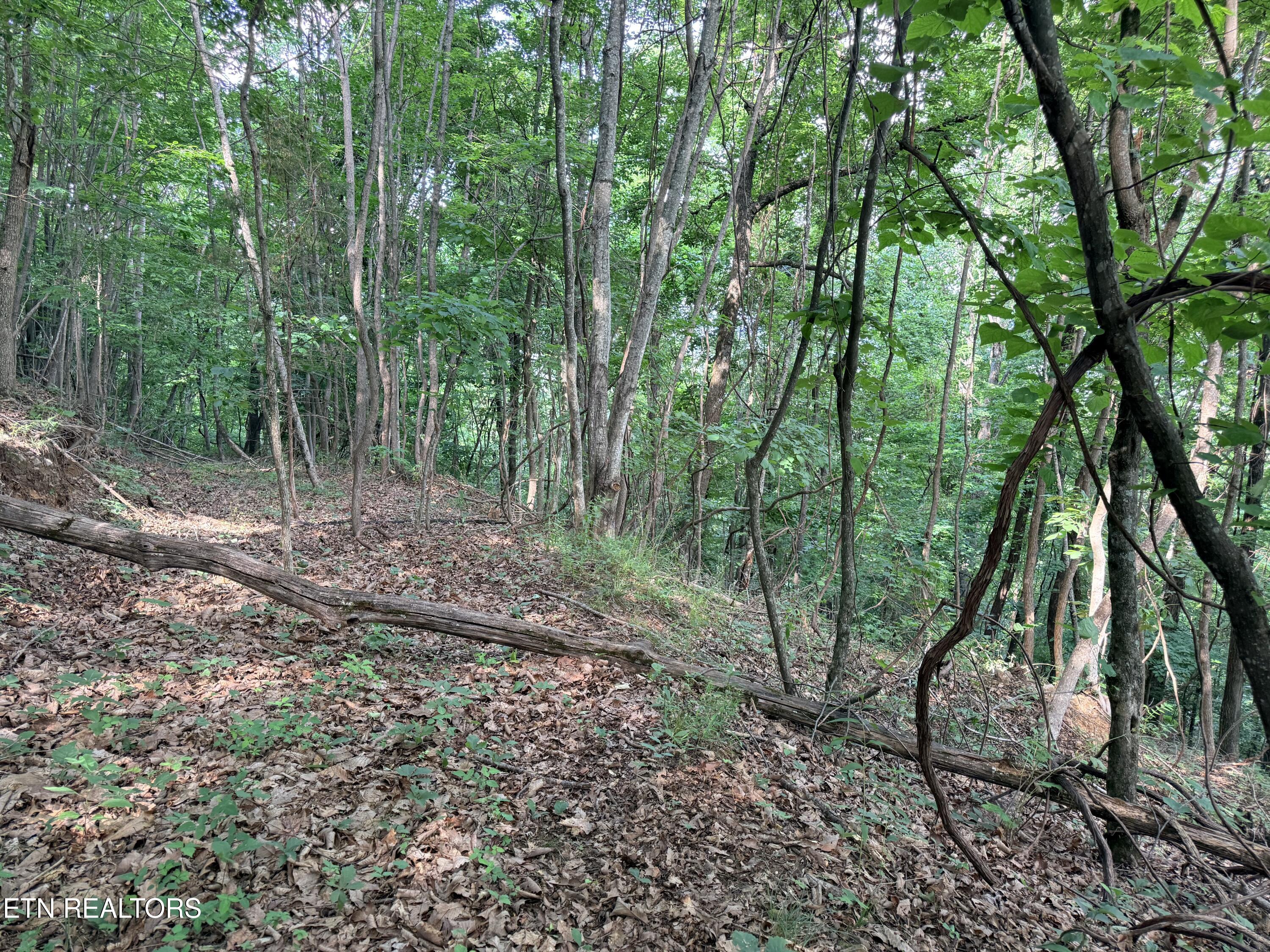 Lot 188 Chimney Rock Road New Tazewell TN 37825