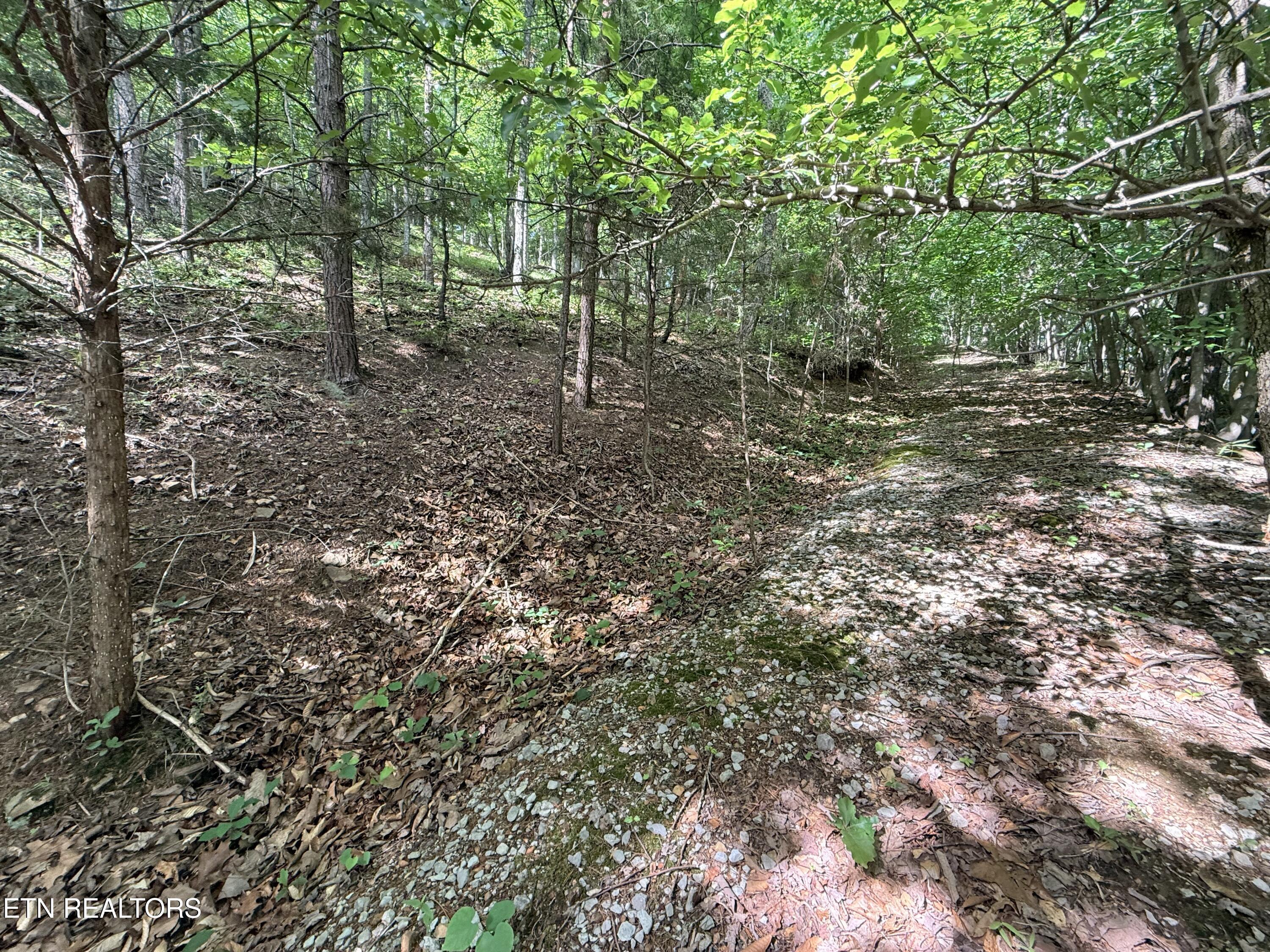 Lot 188 Chimney Rock Road New Tazewell TN 37825