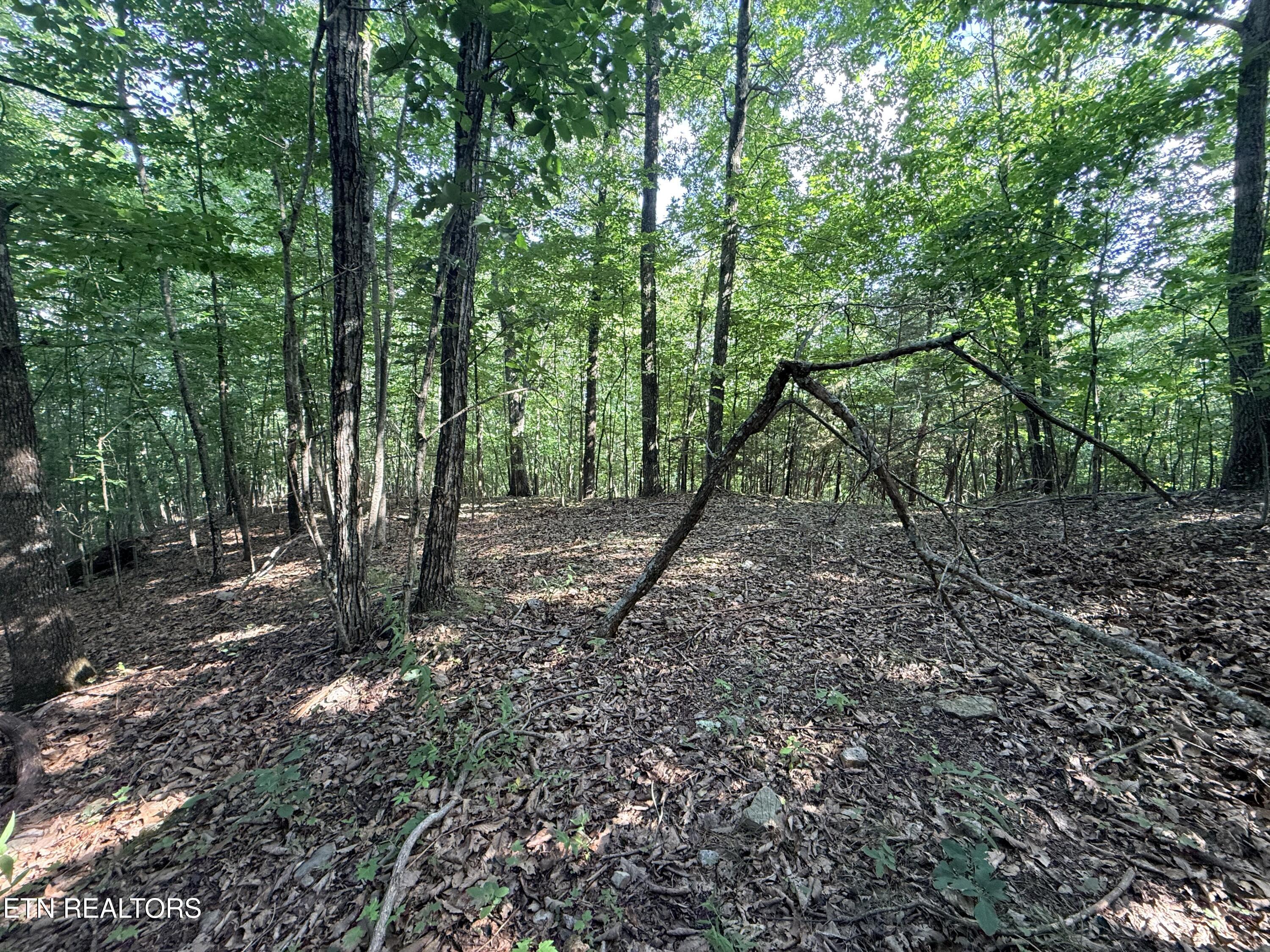 Lot 188 Chimney Rock Road New Tazewell TN 37825