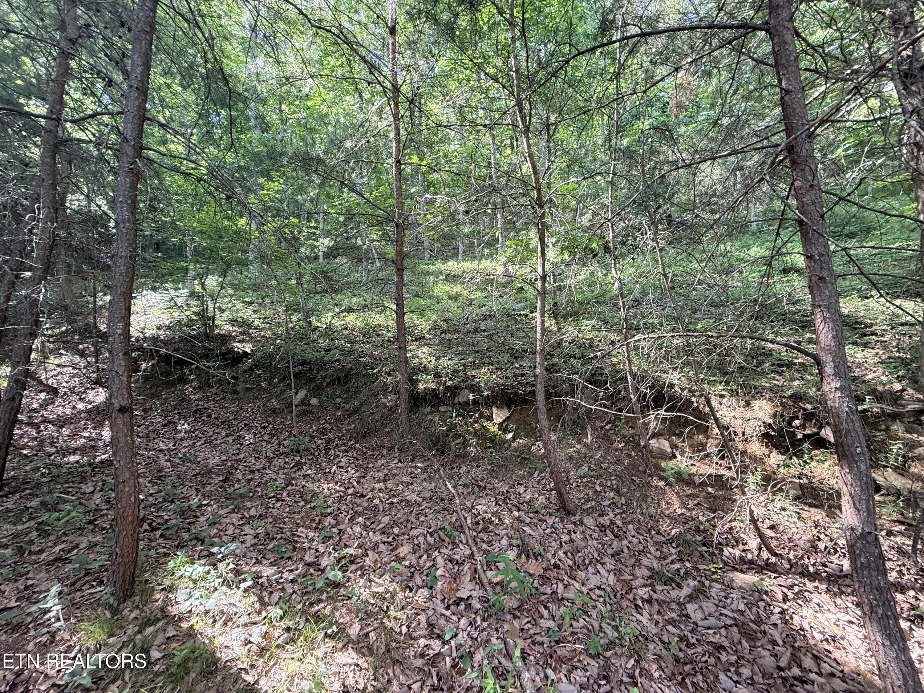 Lot 188 Chimney Rock Road New Tazewell TN 37825