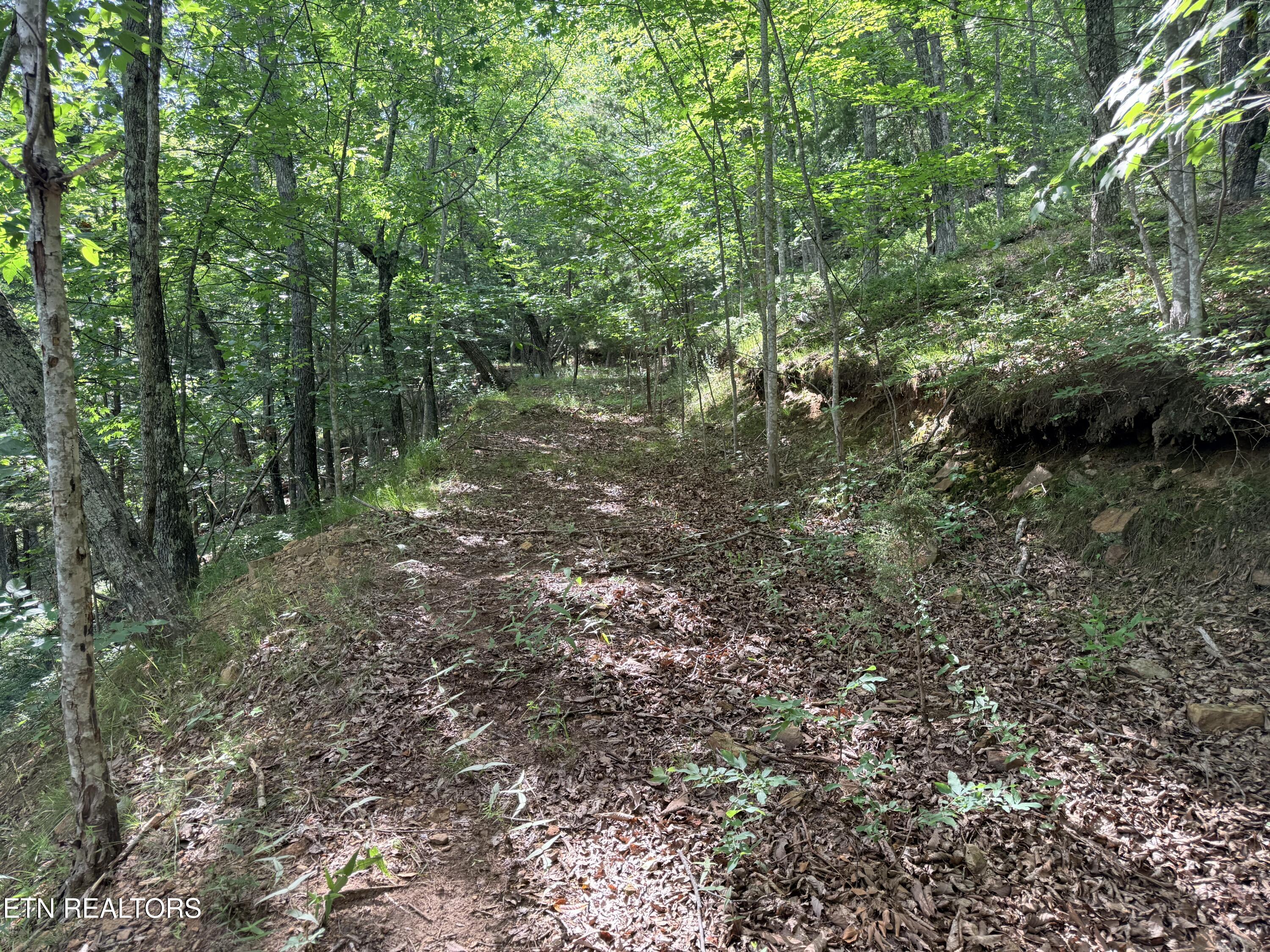 Lot 188 Chimney Rock Road New Tazewell TN 37825