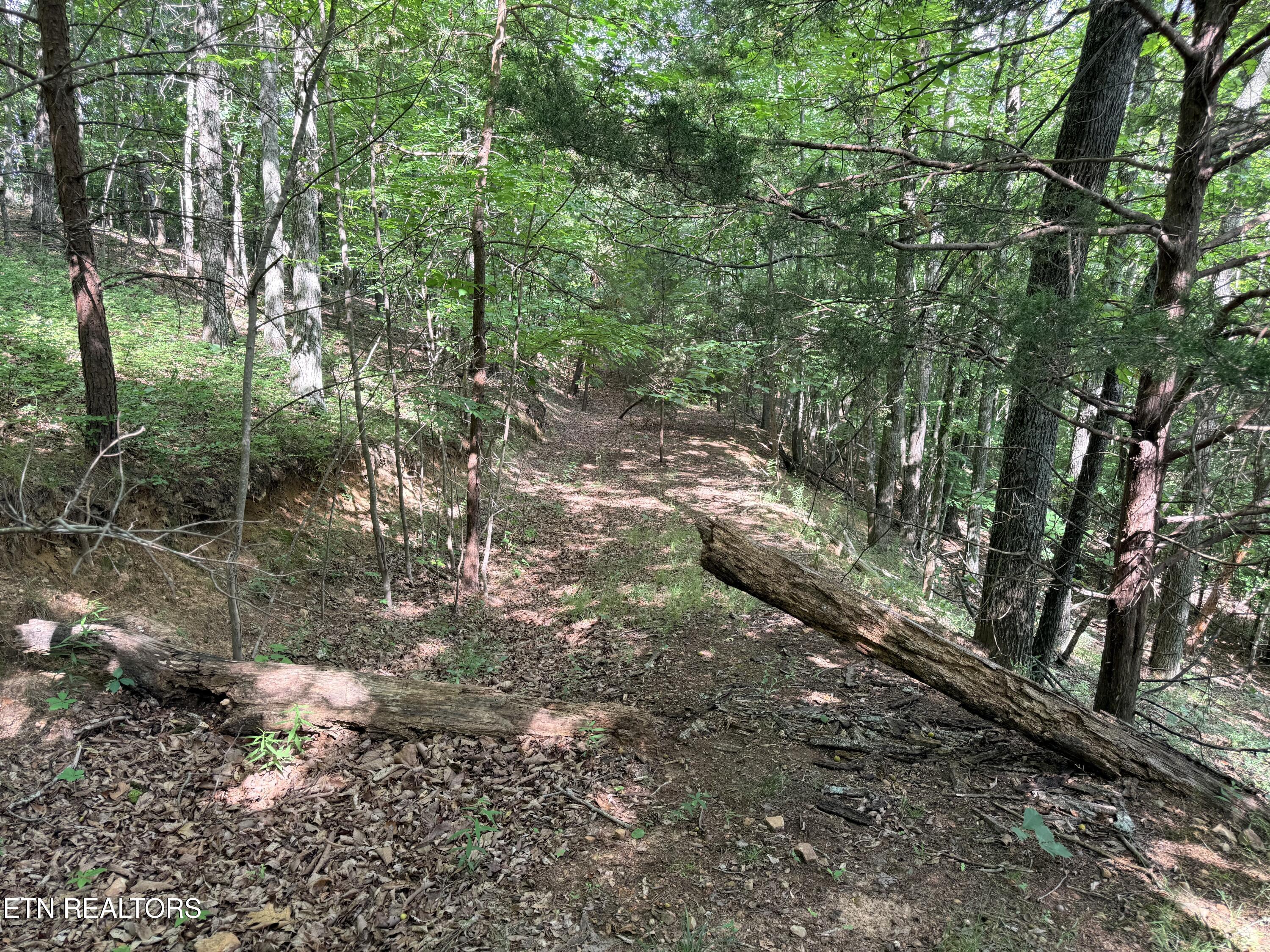 Lot 188 Chimney Rock Road New Tazewell TN 37825