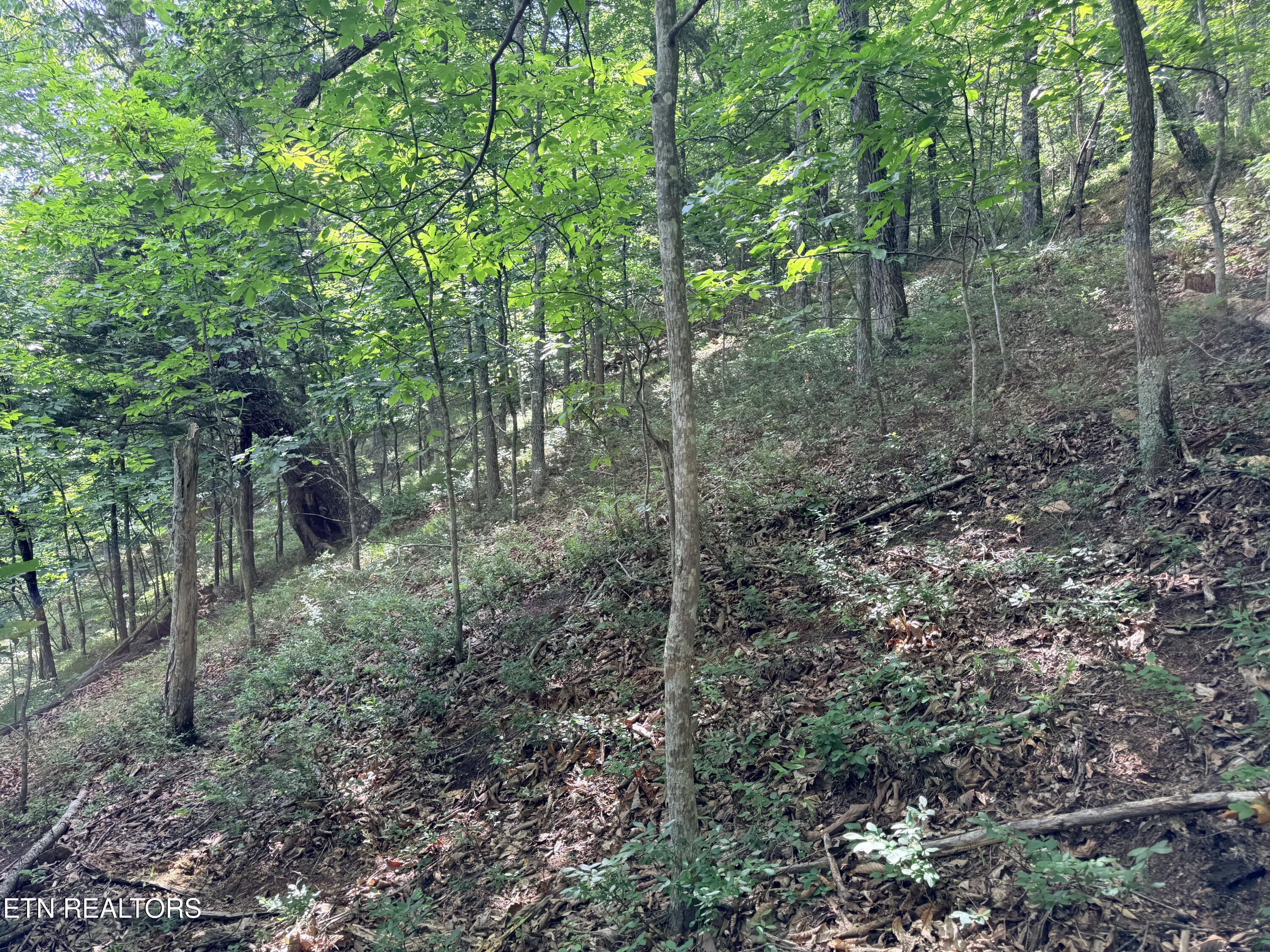 Lot 188 Chimney Rock Road New Tazewell TN 37825