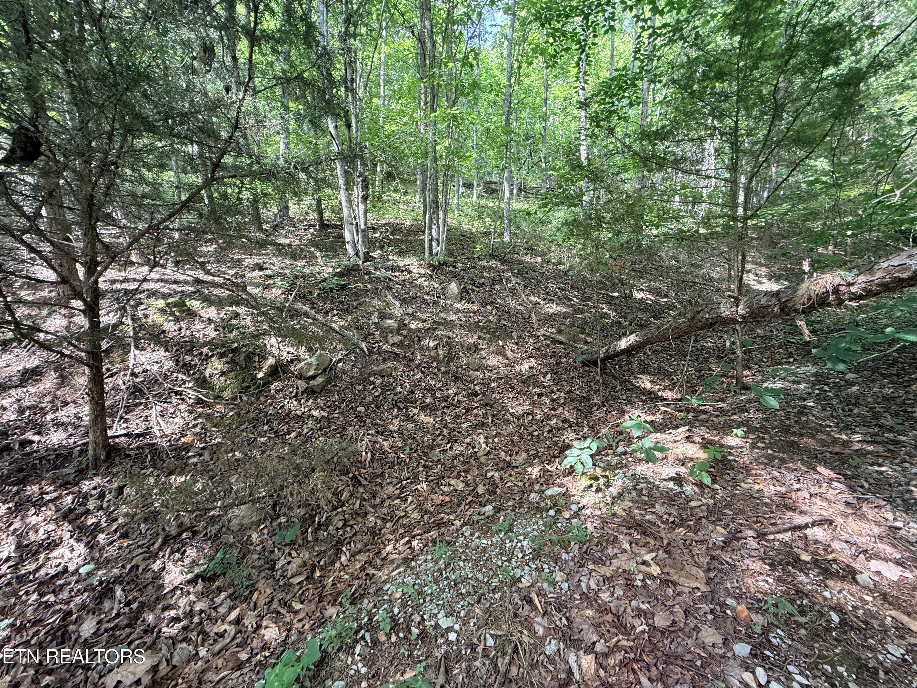 Lot 188 Chimney Rock Road New Tazewell TN 37825