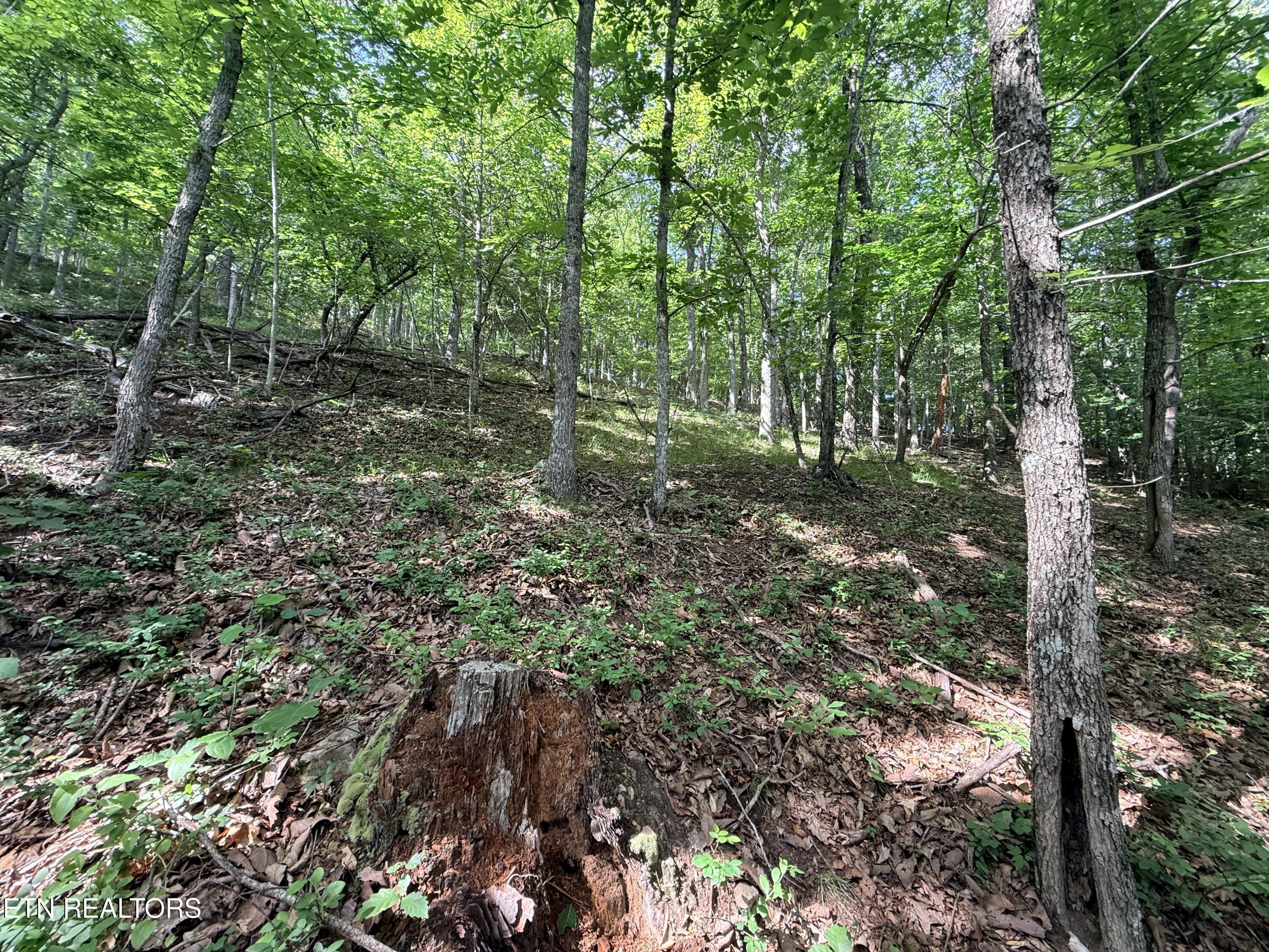 Lot 188 Chimney Rock Road New Tazewell TN 37825