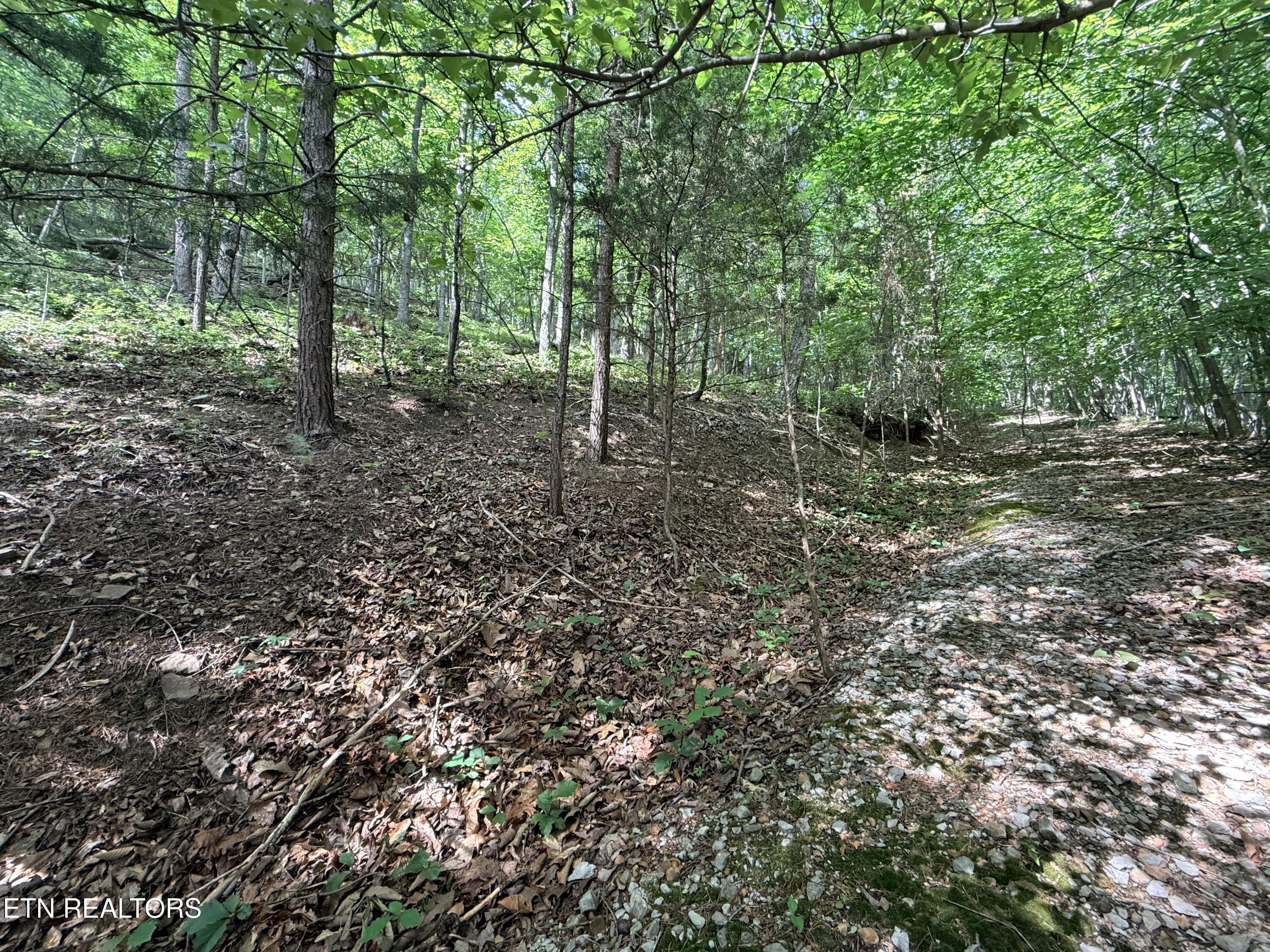 Lot 188 Chimney Rock Road New Tazewell TN 37825