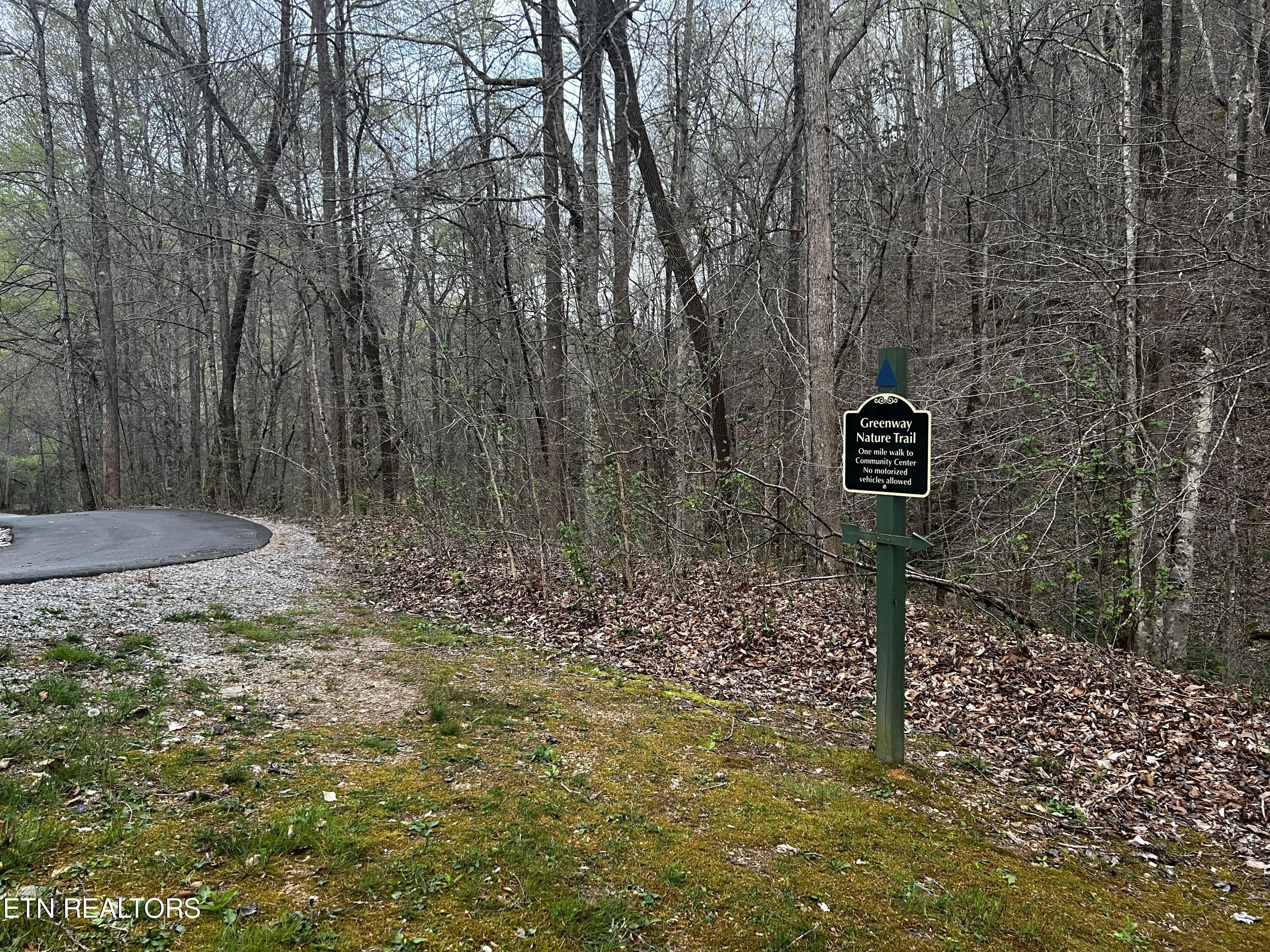 Lot 188 Chimney Rock Road New Tazewell TN 37825