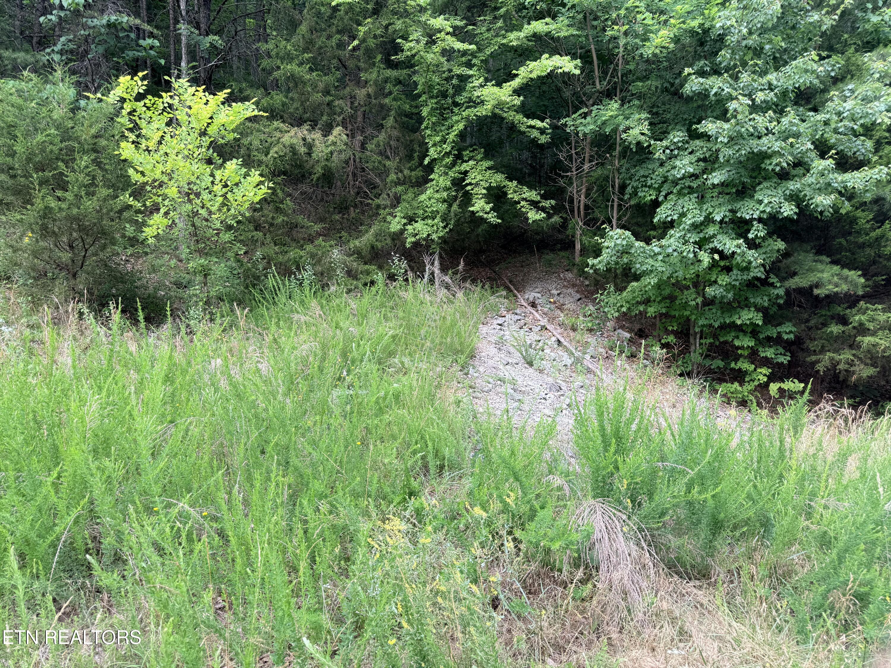 Lot 188 Chimney Rock Road New Tazewell TN 37825