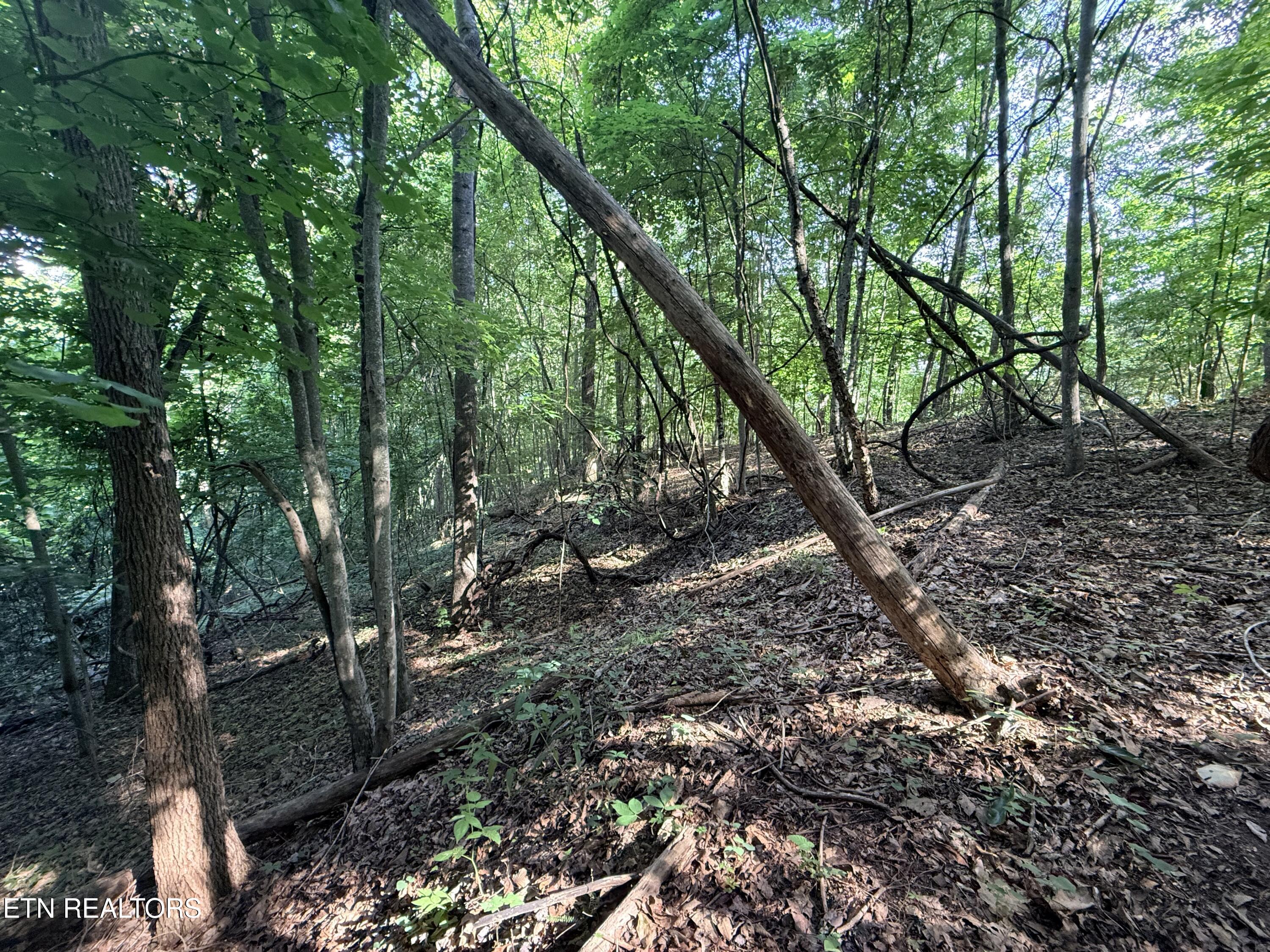 Lot 188 Chimney Rock Road New Tazewell TN 37825