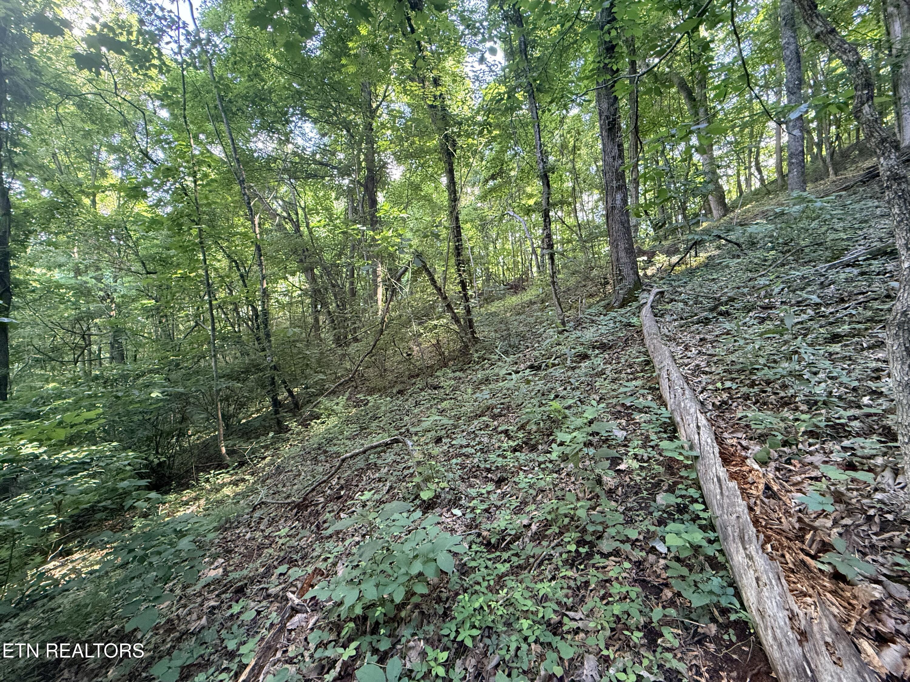 Lot 188 Chimney Rock Road New Tazewell TN 37825