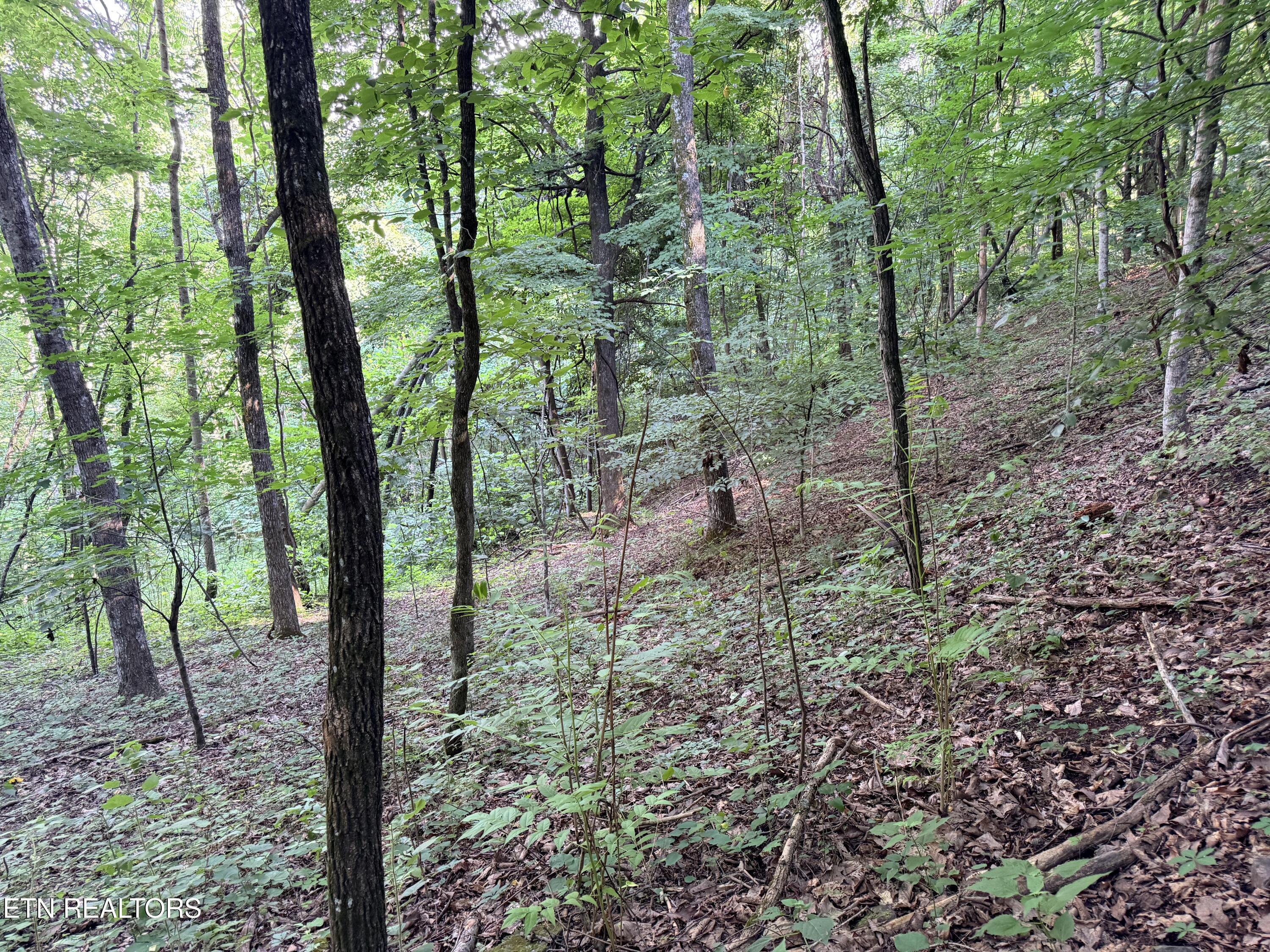 Lot 188 Chimney Rock Road New Tazewell TN 37825