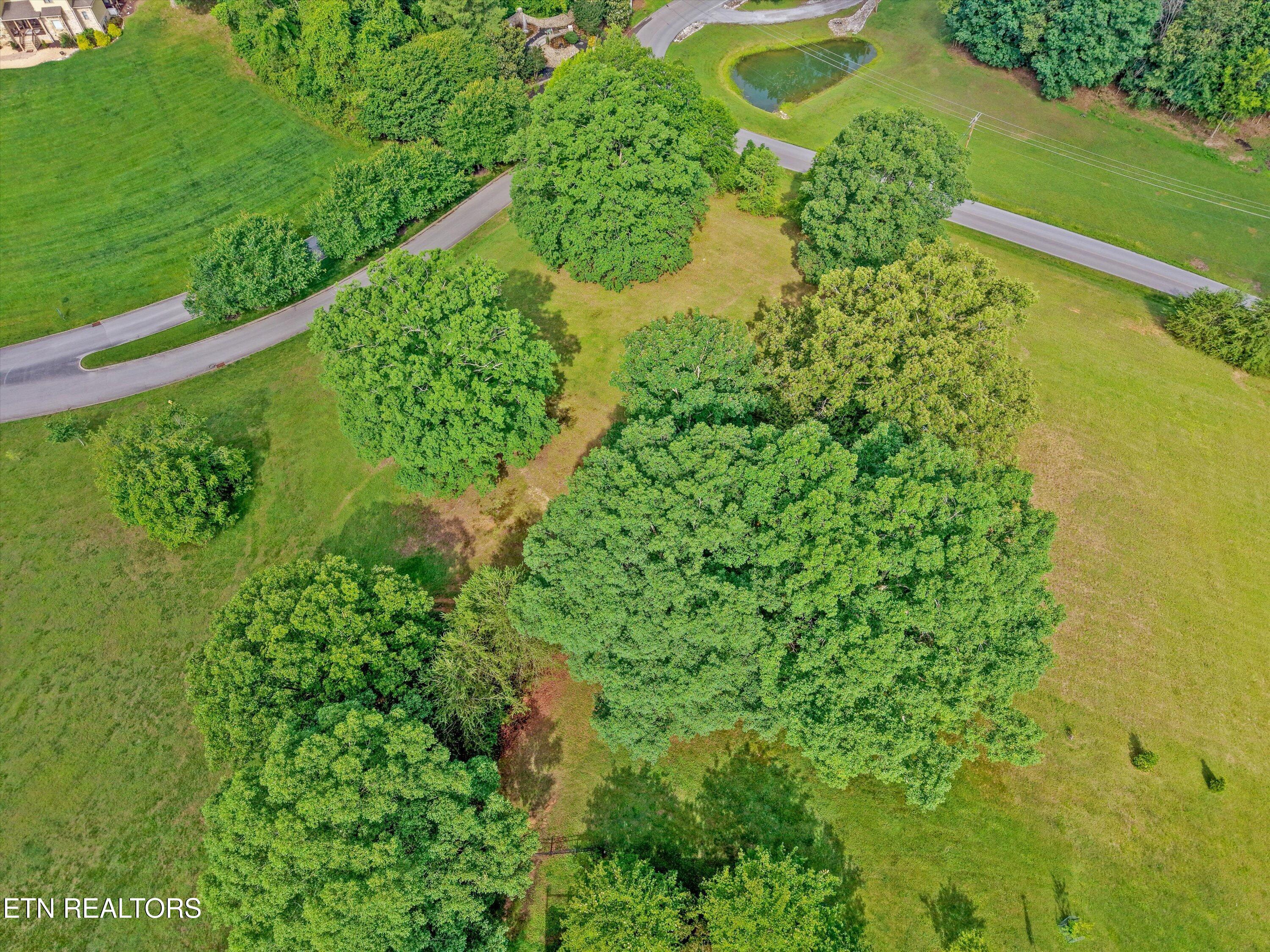 110 Conkinnon Drive Lenoir City TN 37772