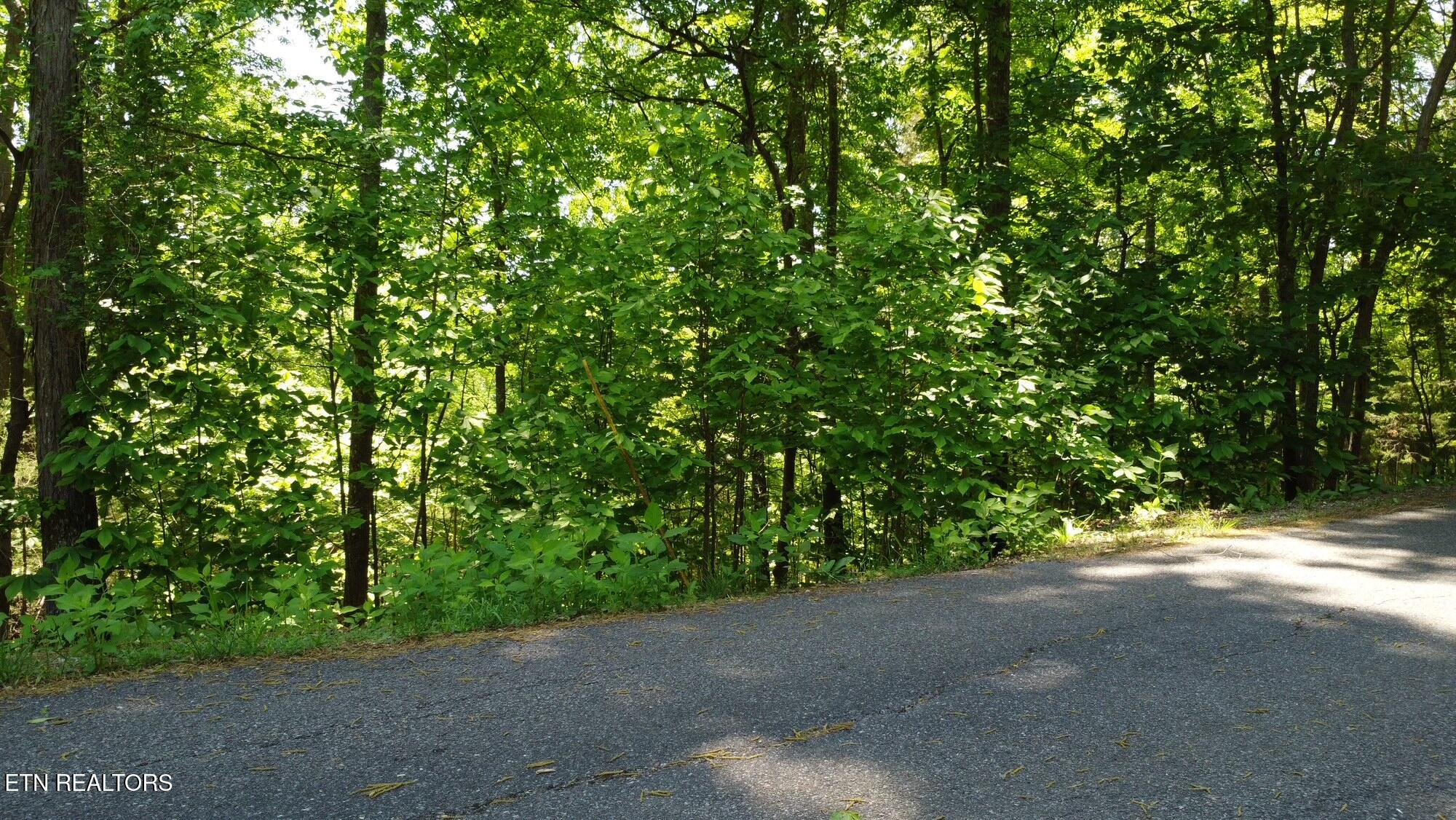Deer Run Point Lafollette TN 37766