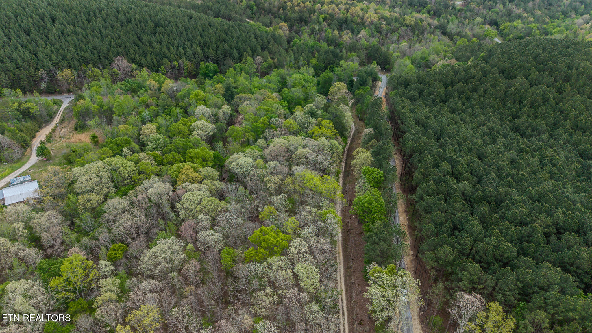 1155 Womac Hollow Road Ten Mile TN 37880