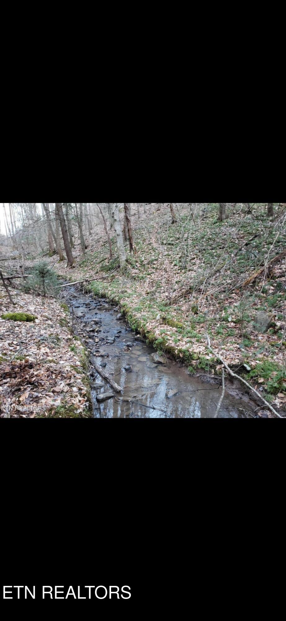 Watson Hollow Road Speedwell TN 37870