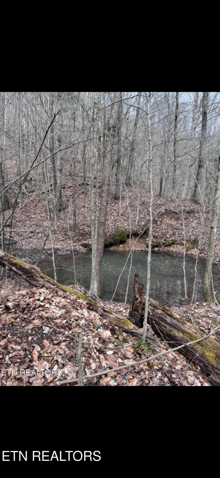 Watson Hollow Road Speedwell TN 37870