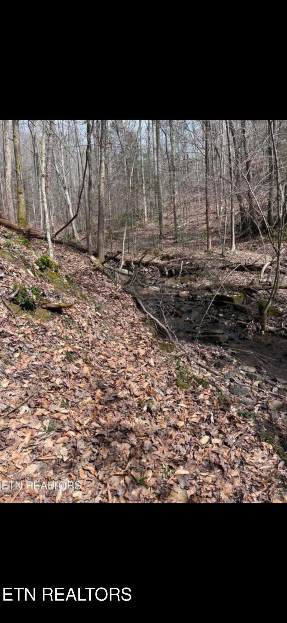 Watson Hollow Road Speedwell TN 37870
