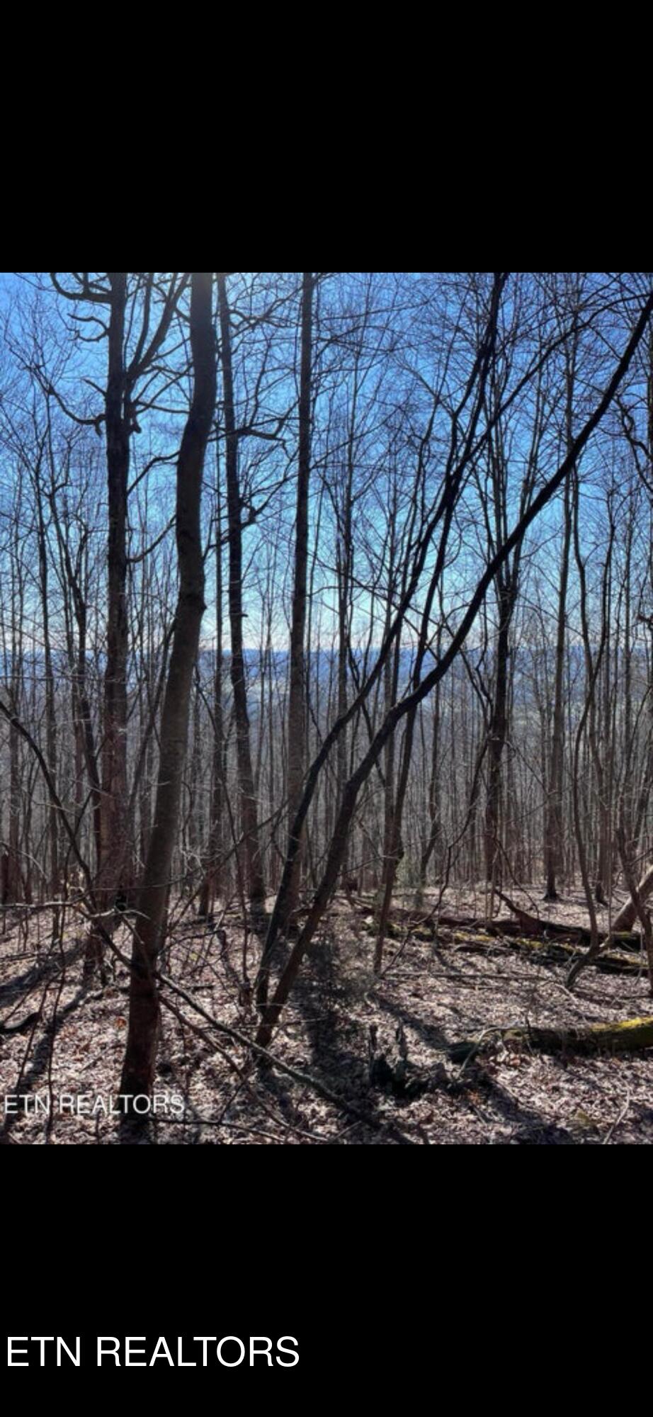 Watson Hollow Road Speedwell TN 37870