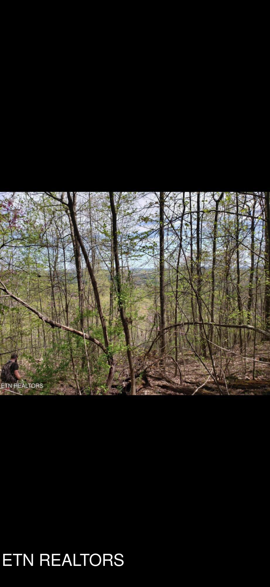 Watson Hollow Road Speedwell TN 37870