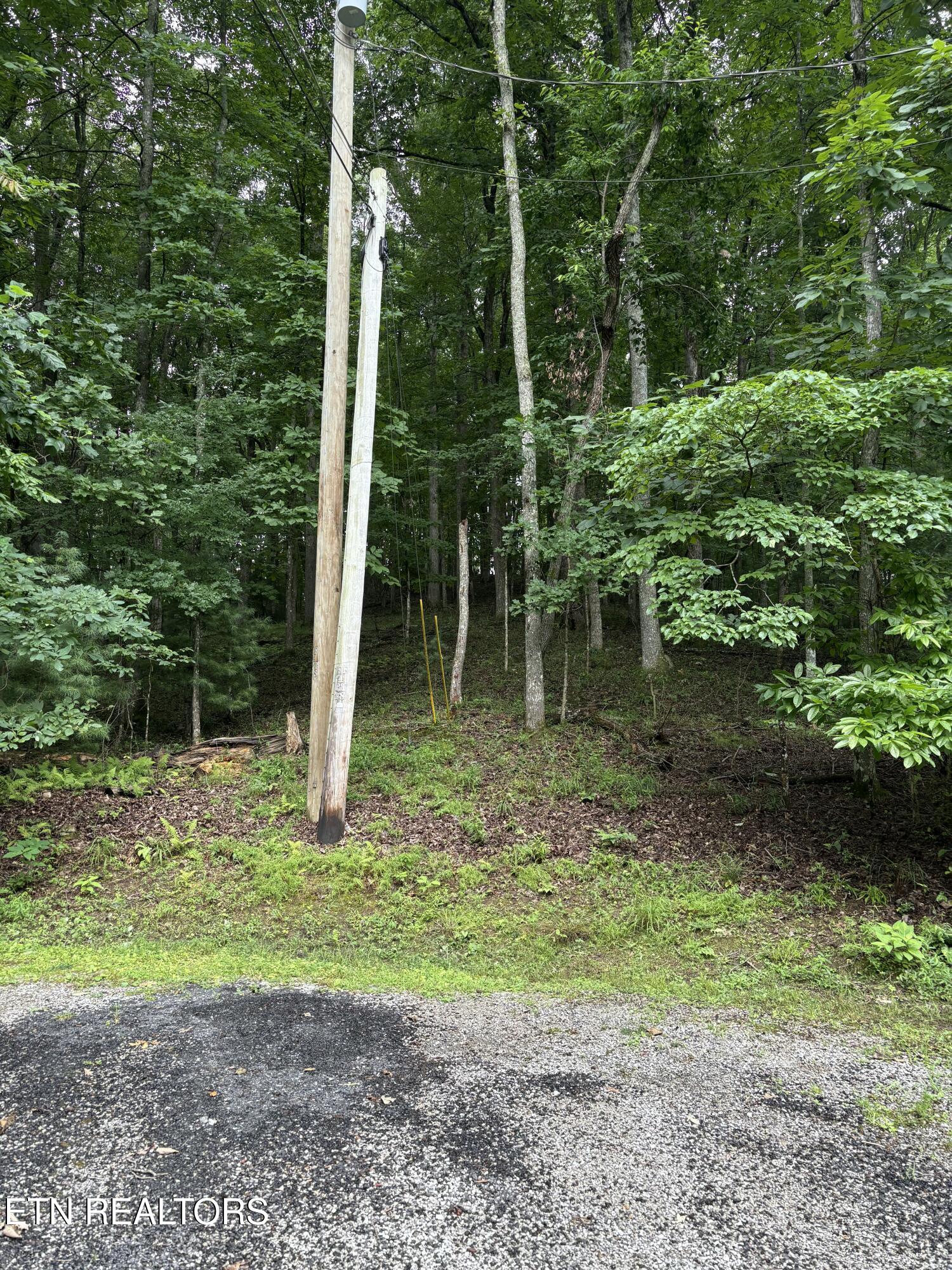 14 Lynhurst Circle Crossville TN 38558