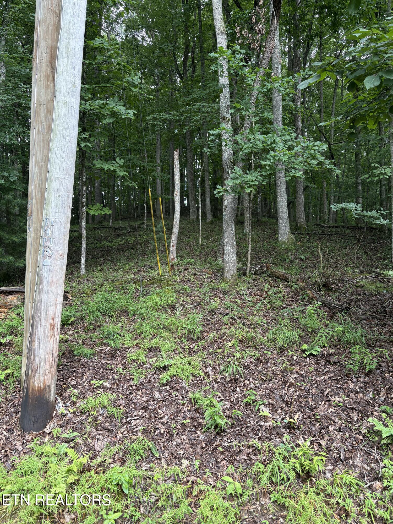 14 Lynhurst Circle Crossville TN 38558