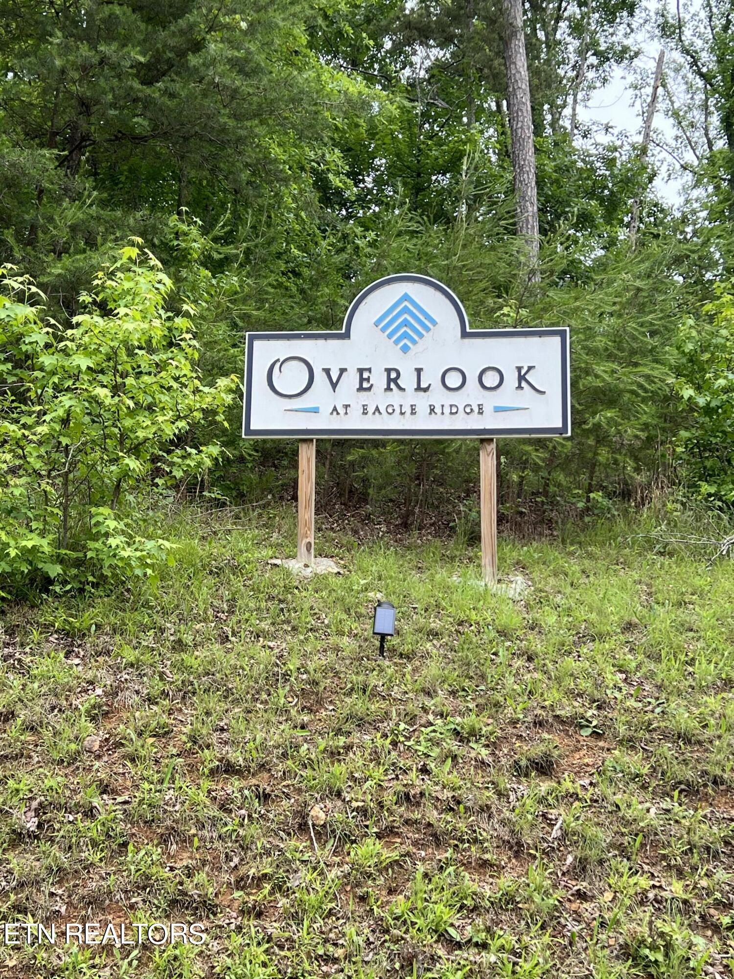 Vista Ridge Court Rockwood TN 37854