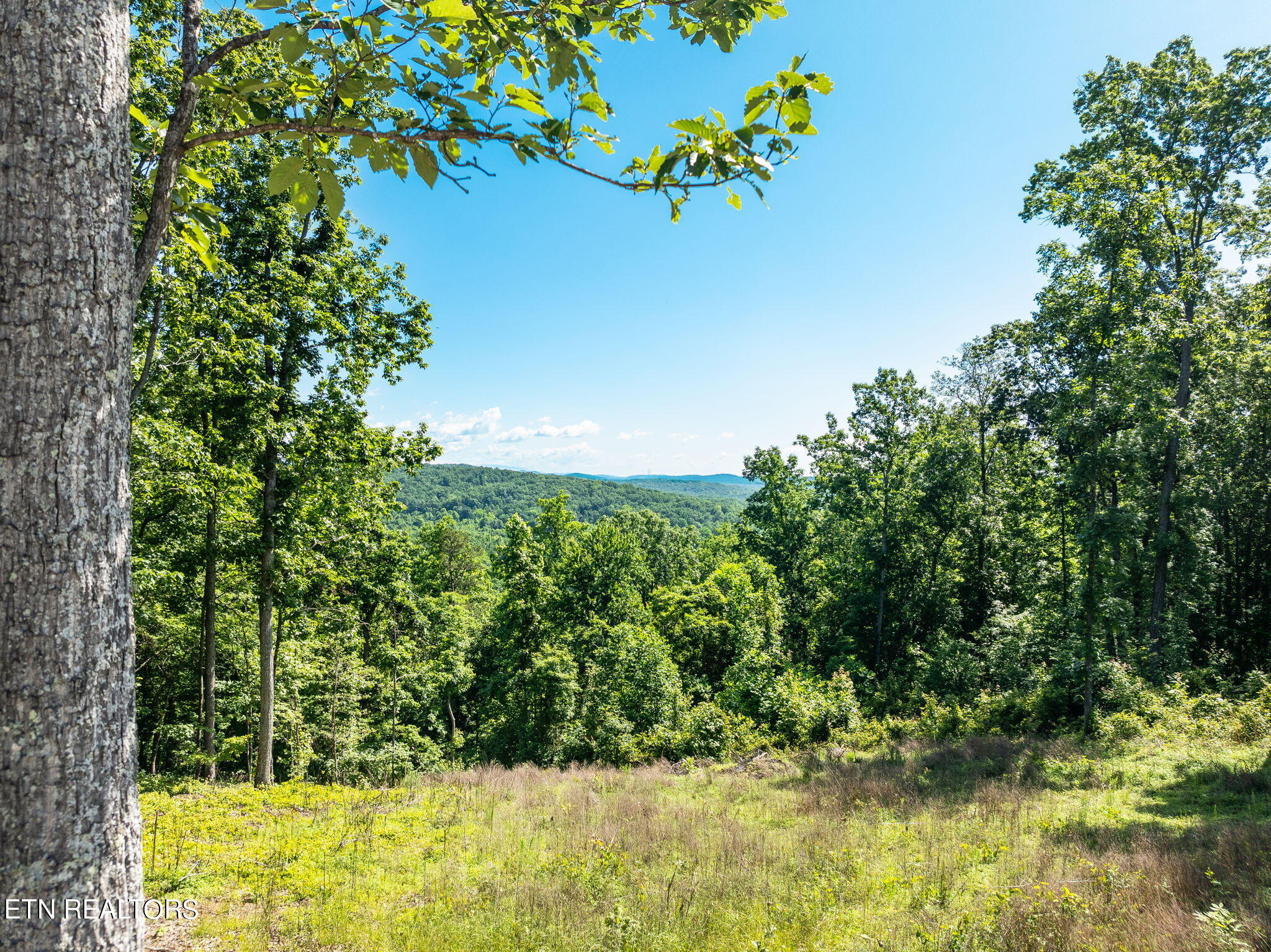 Vista Ridge Court Rockwood TN 37854