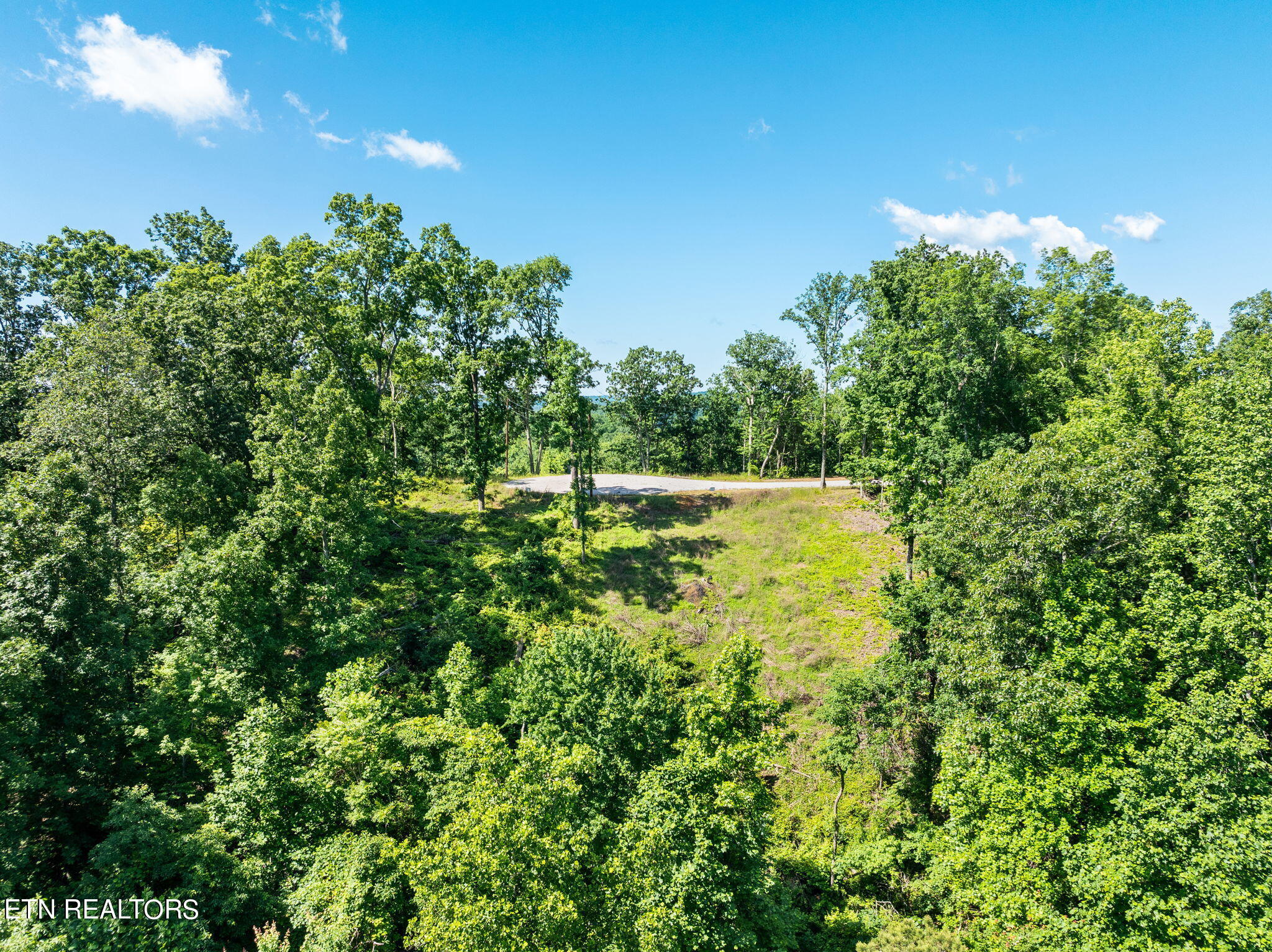 Vista Ridge Court Rockwood TN 37854
