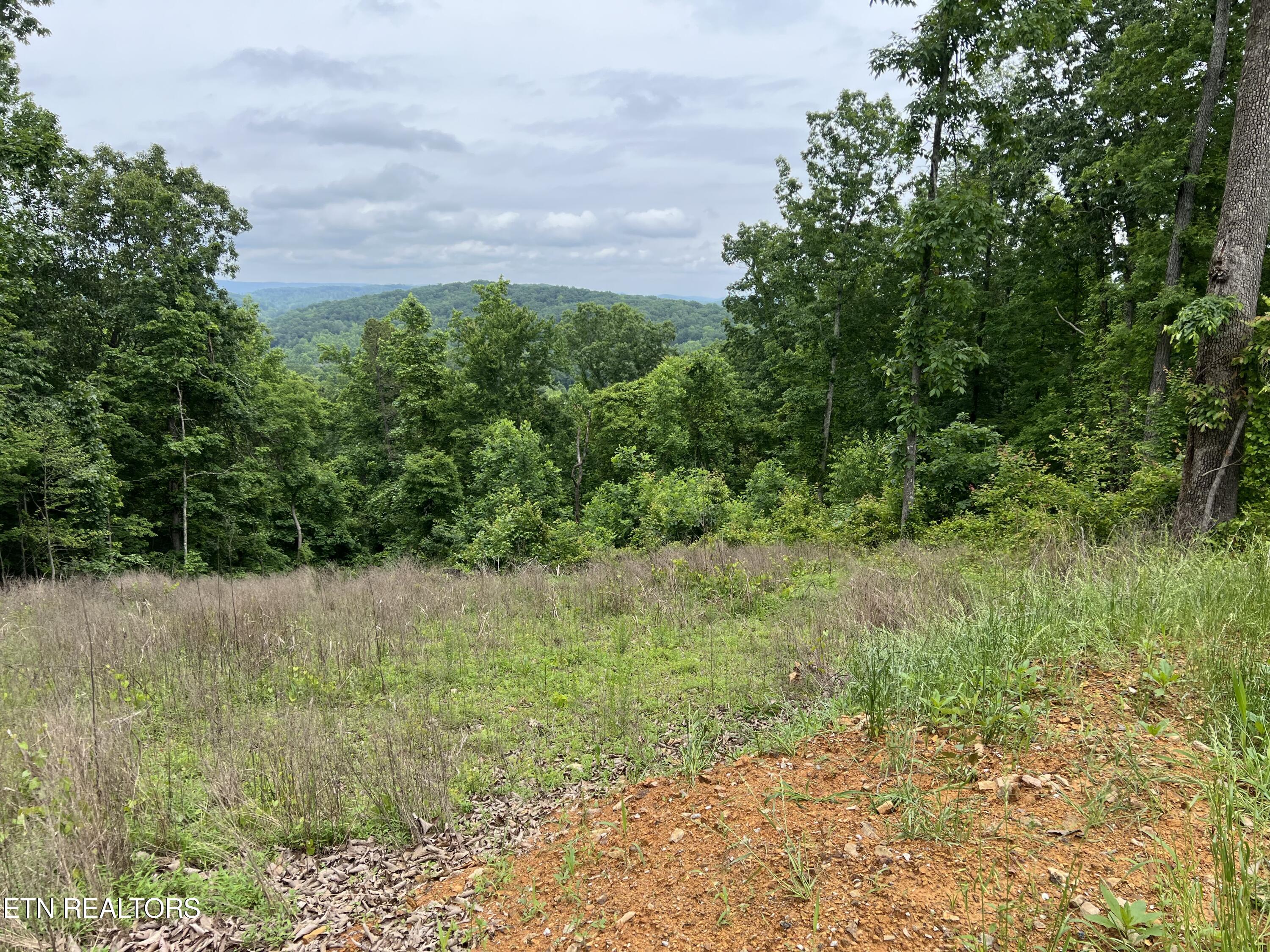 Vista Ridge Court Rockwood TN 37854