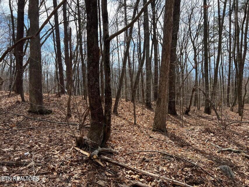 Swann Saddle Sevierville TN 37876