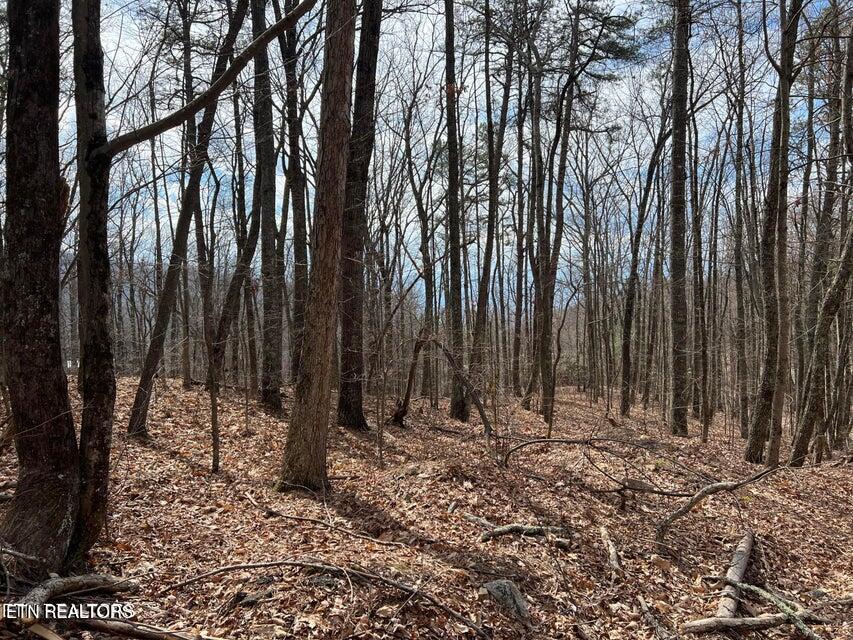 Swann Saddle Sevierville TN 37876