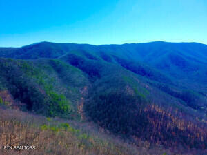 Lot 2-a Ravens Den Way Sevierville TN 37862