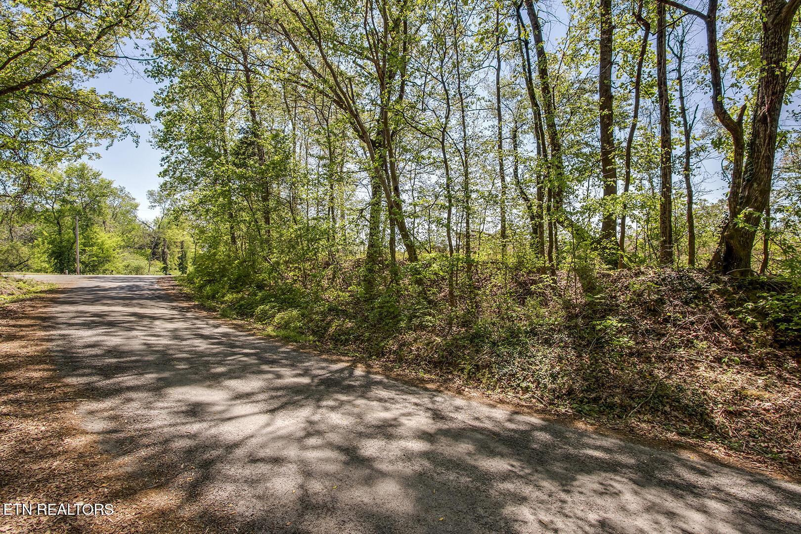 171 Hornby Ferry Road Decatur TN 37322