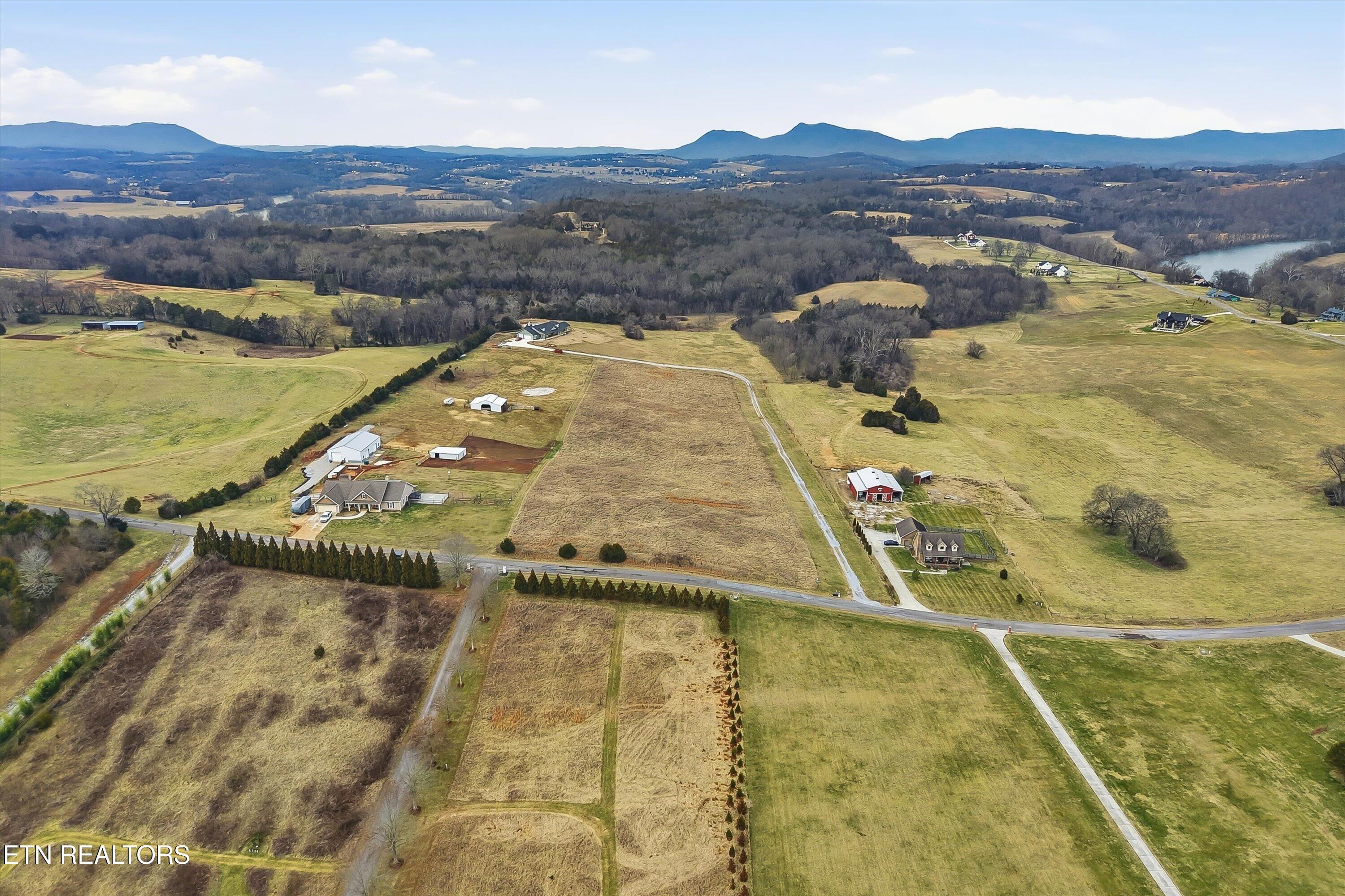 972 Cliff Top Road Blaine TN 37709