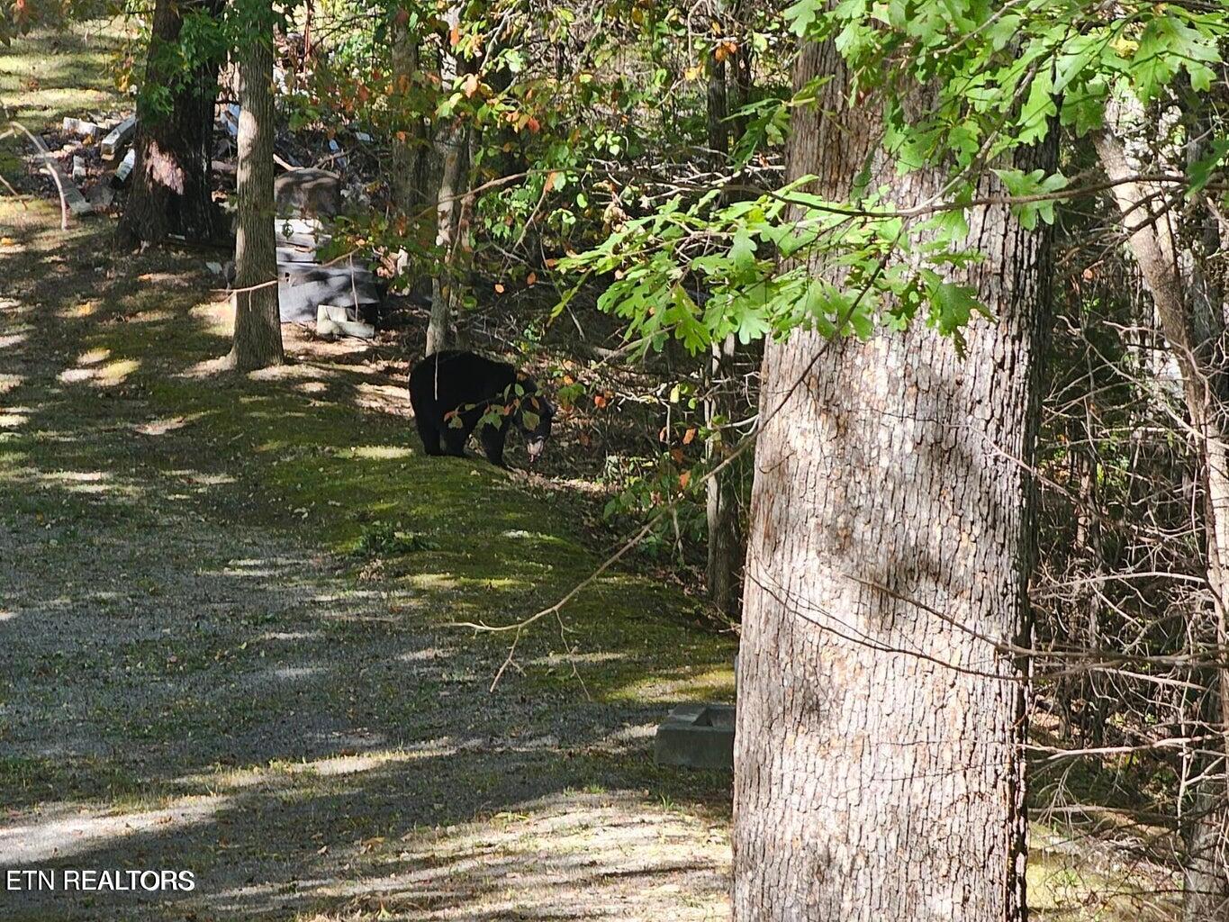 Crown Circle Sevierville TN 37862