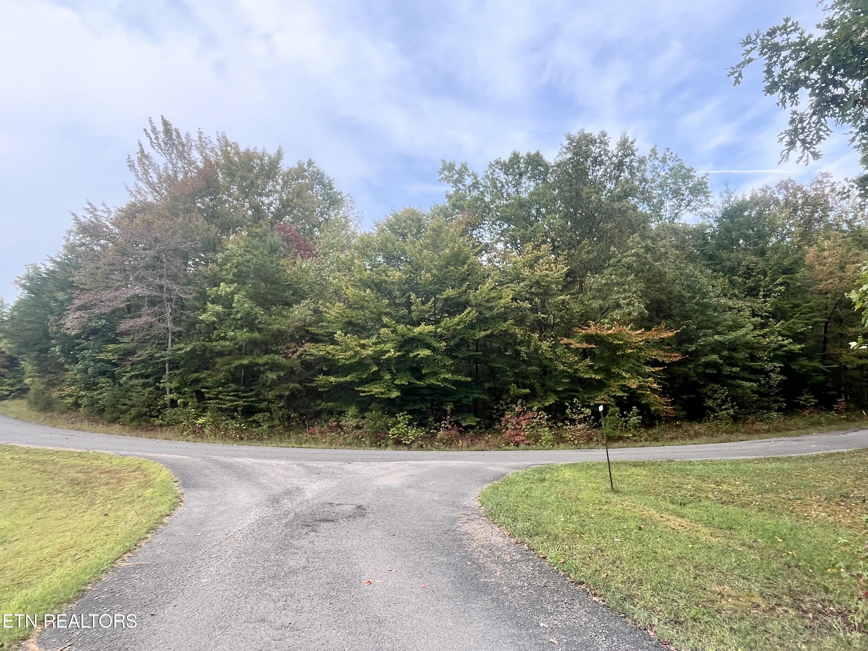 Lt 19 Evergreen Drive Oneida TN 37841