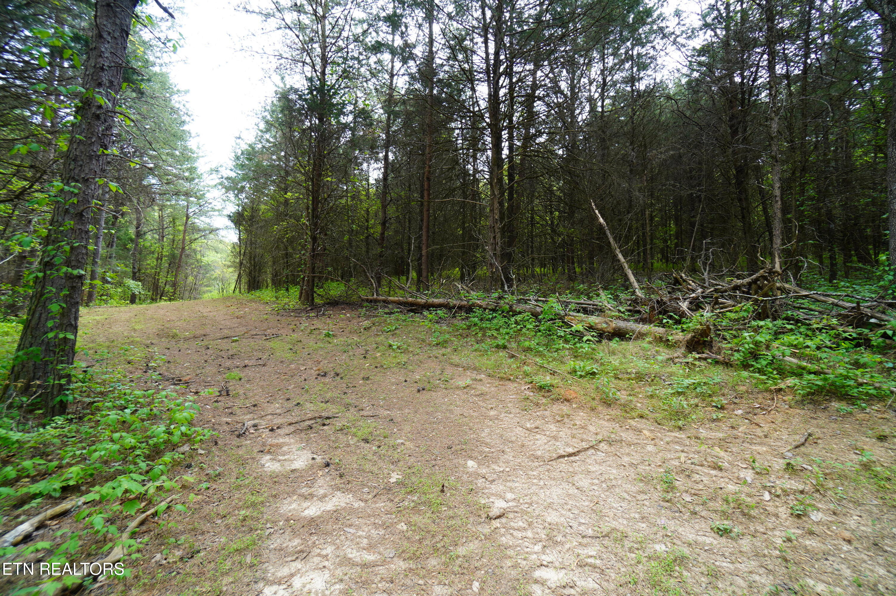 Tract 19 Pleasant View Cemetery Road New Market TN 37820