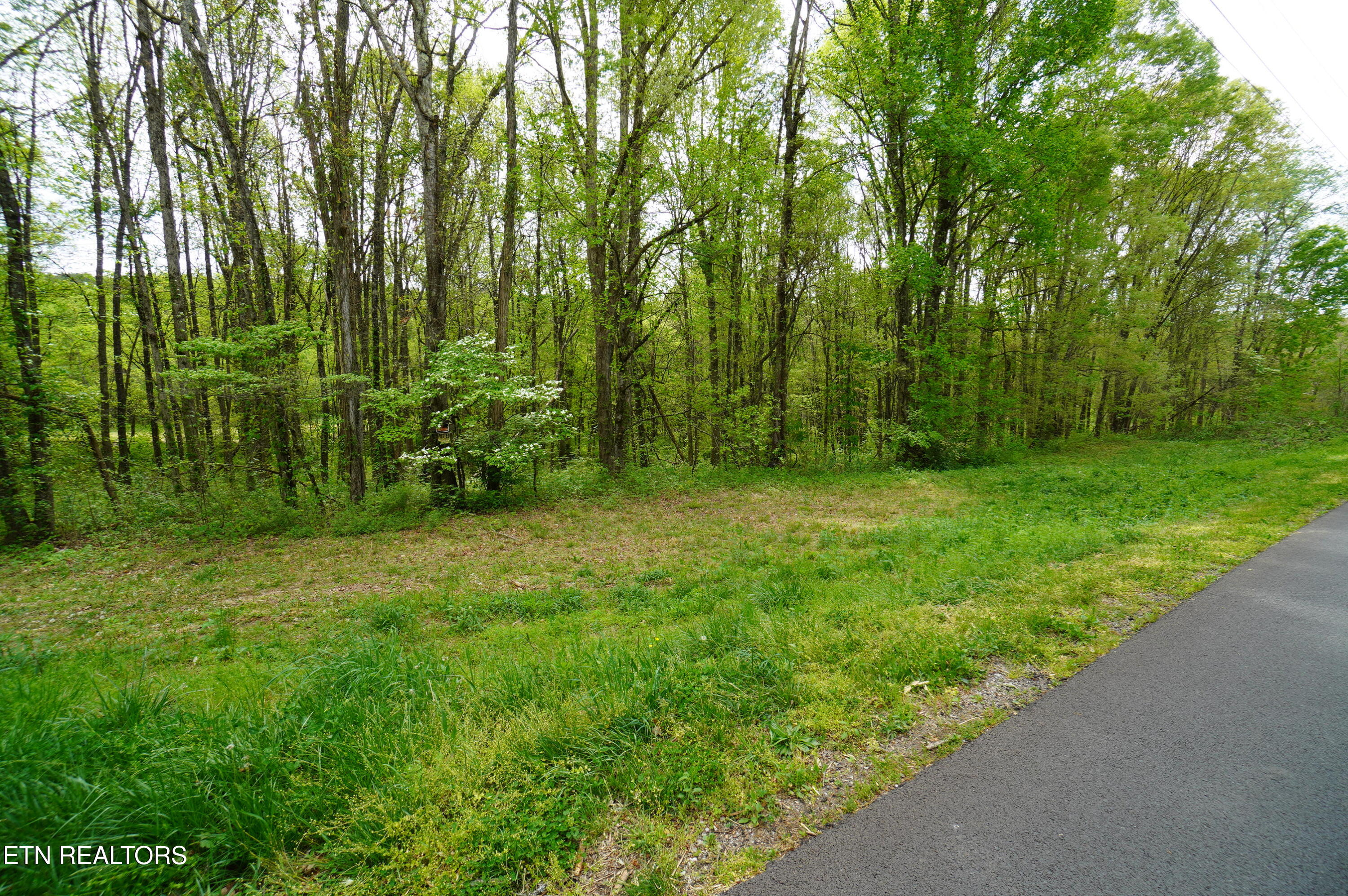 Tract 19 Pleasant View Cemetery Road New Market TN 37820