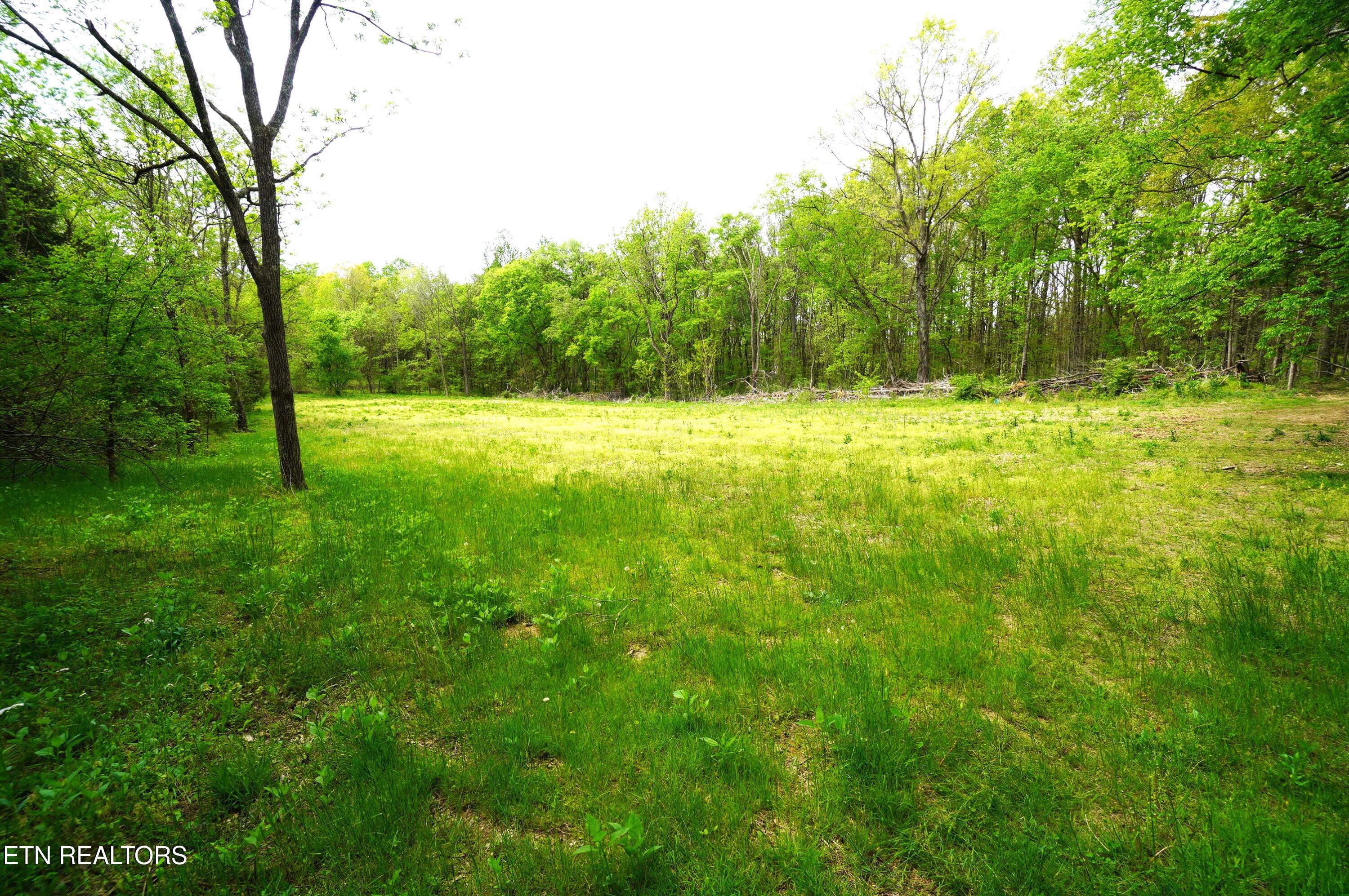 Tract 19 Pleasant View Cemetery Road New Market TN 37820