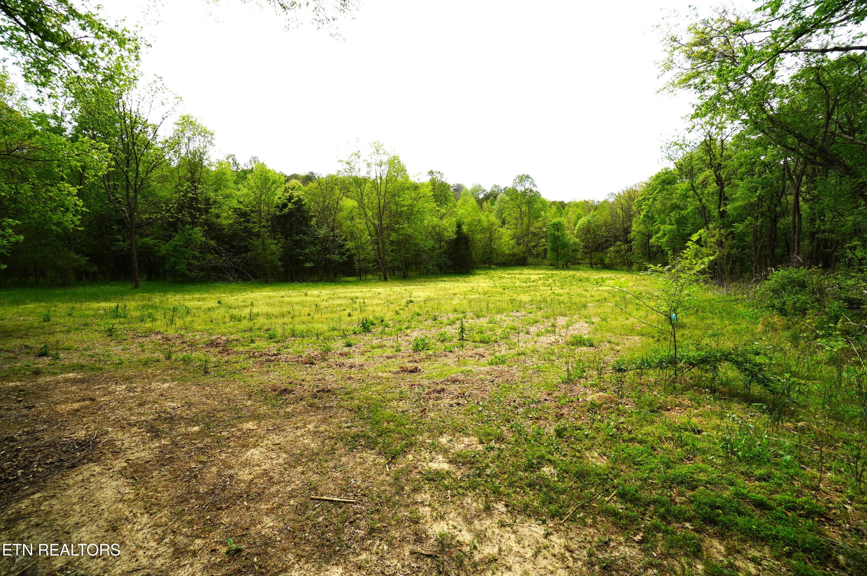 Tract 19 Pleasant View Cemetery Road New Market TN 37820