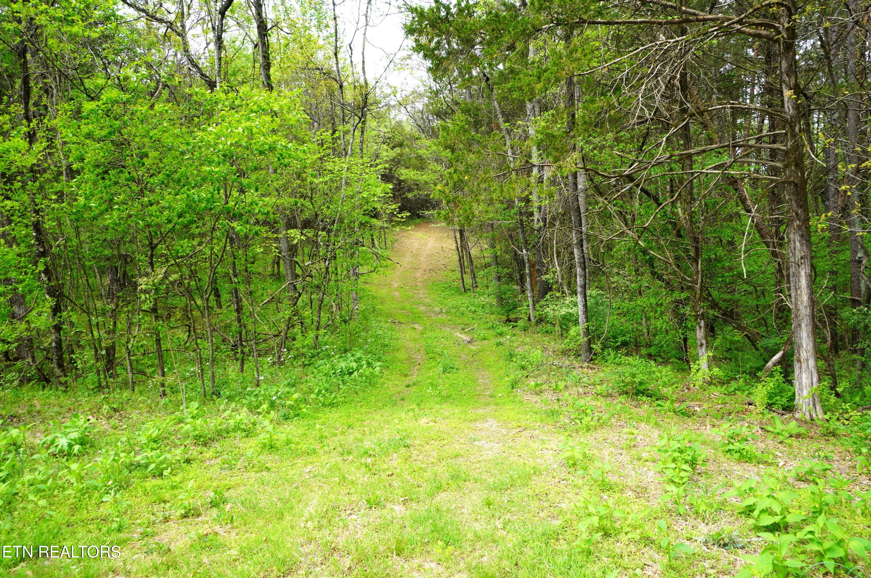 Tract 19 Pleasant View Cemetery Road New Market TN 37820