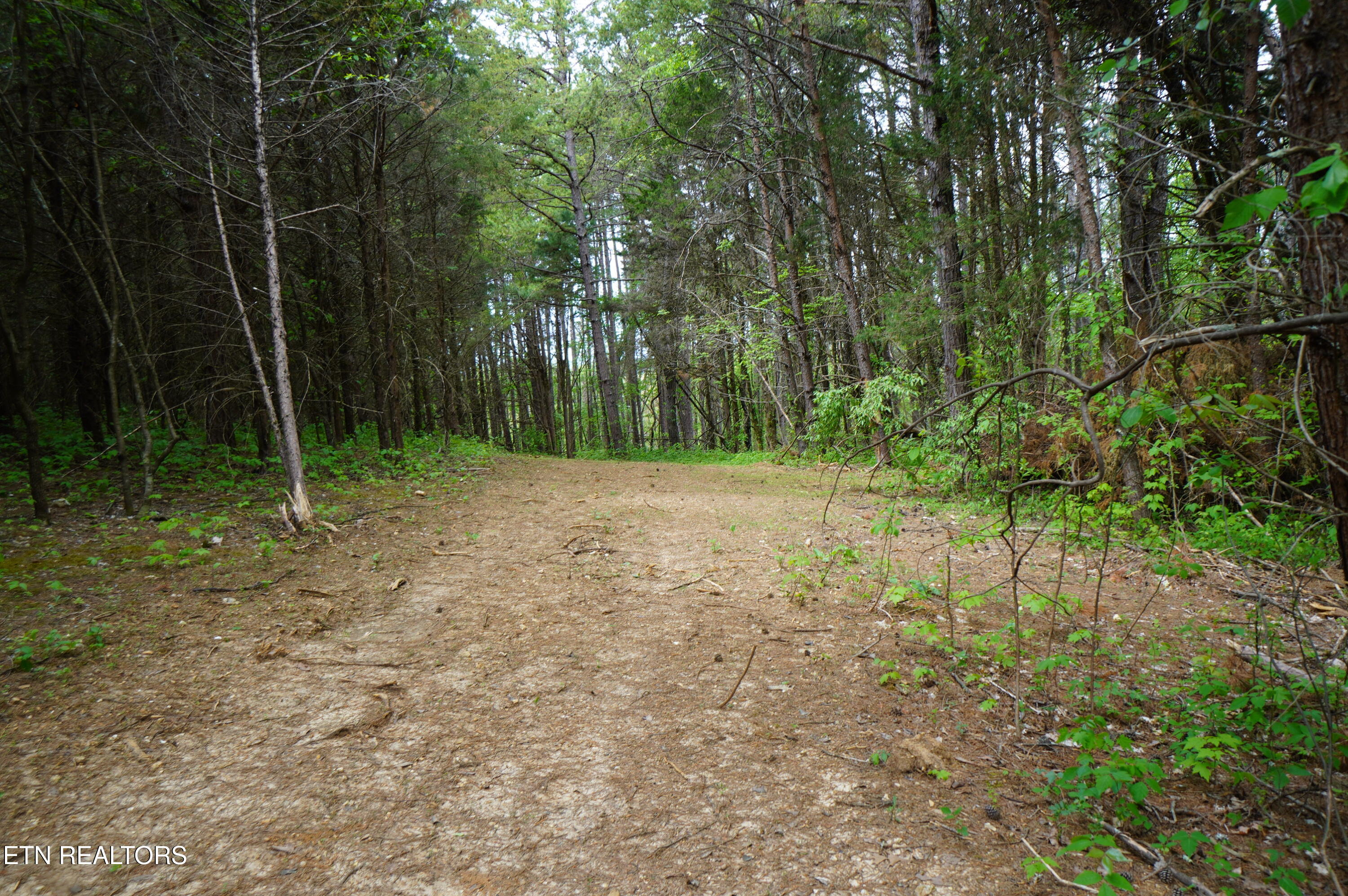 Tract 19 Pleasant View Cemetery Road New Market TN 37820