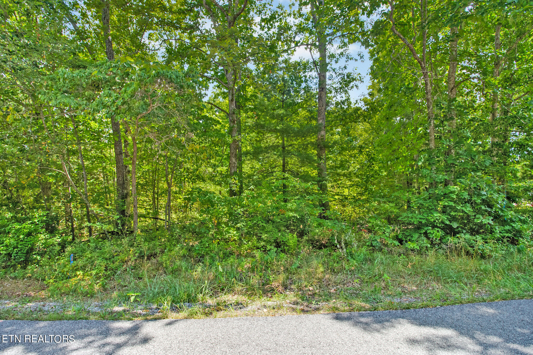 8735, 8739 Cherokee Trail Crossville TN 38572