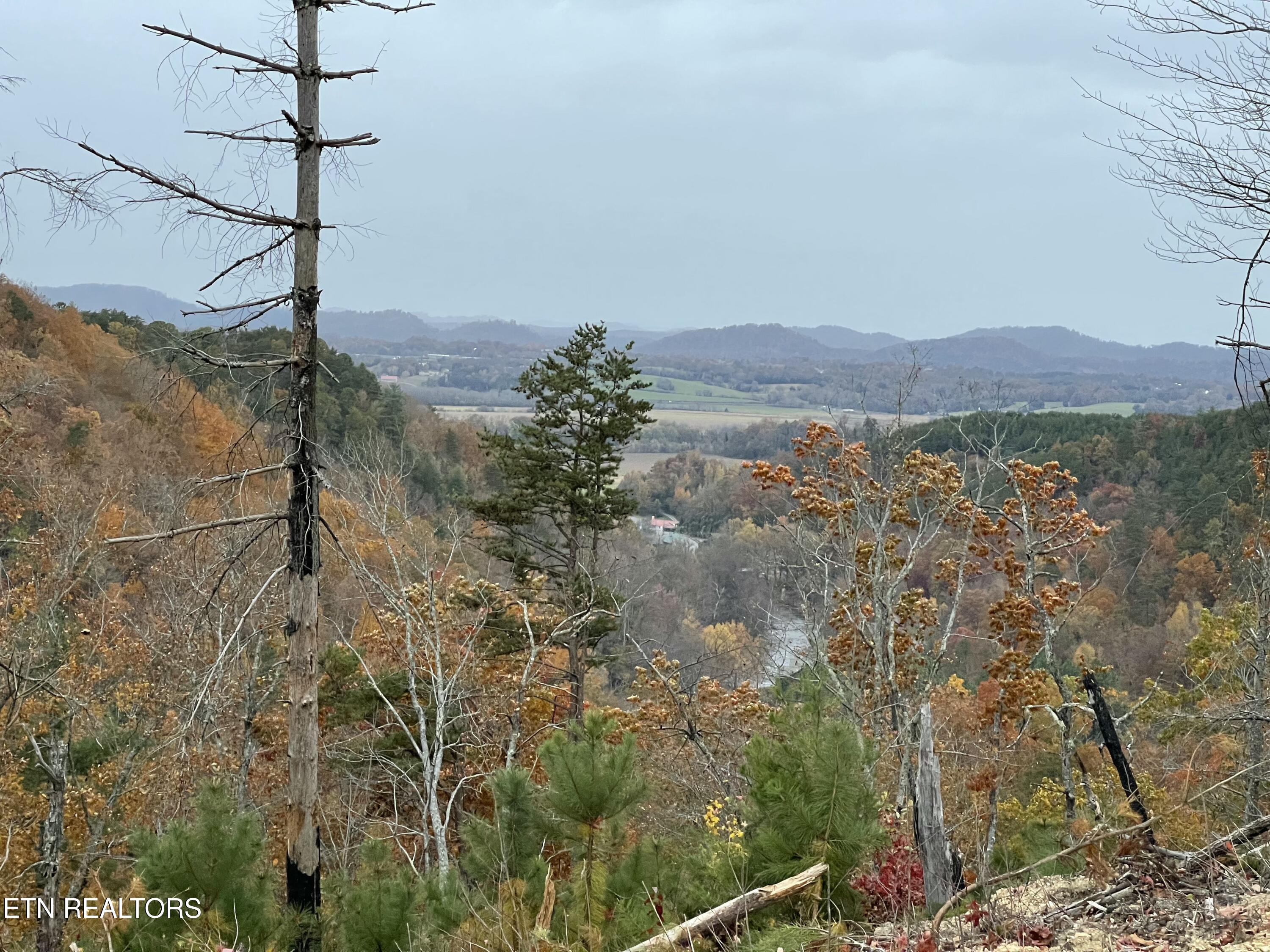 157 Quarry Creek Road Tellico Plains TN 37385