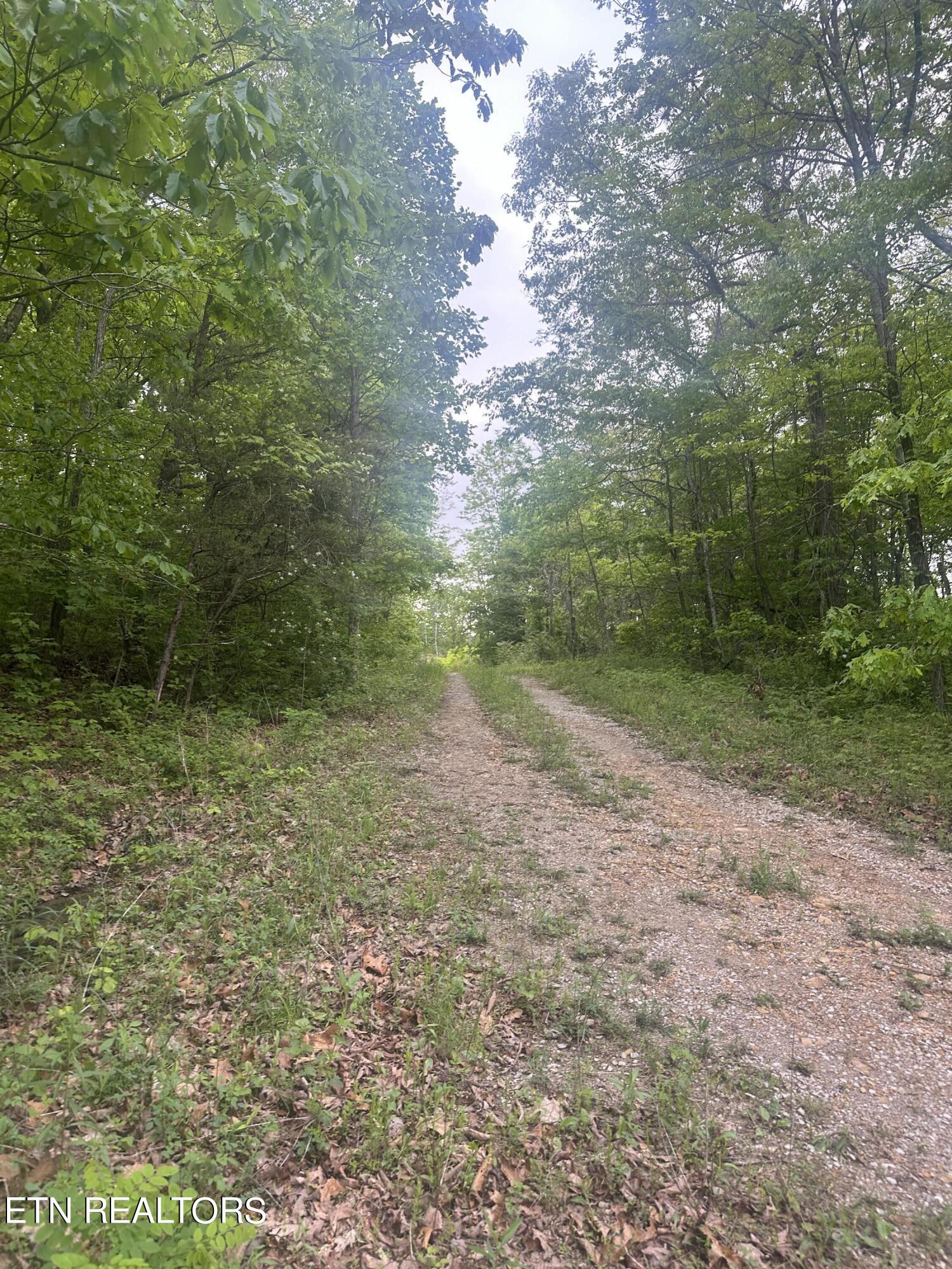 Applewood Drive Crab Orchard TN 37723