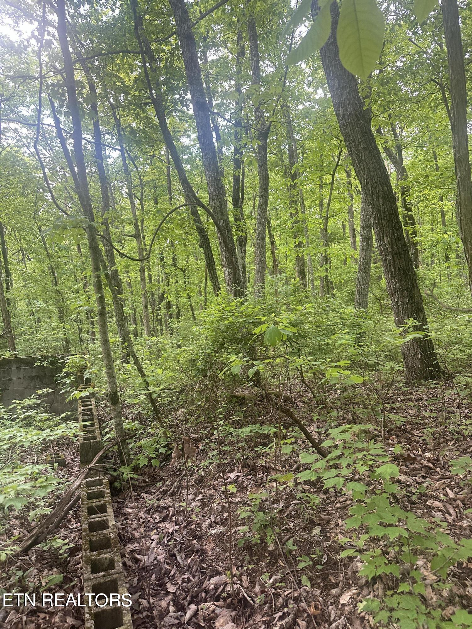 Applewood Drive Crab Orchard TN 37723