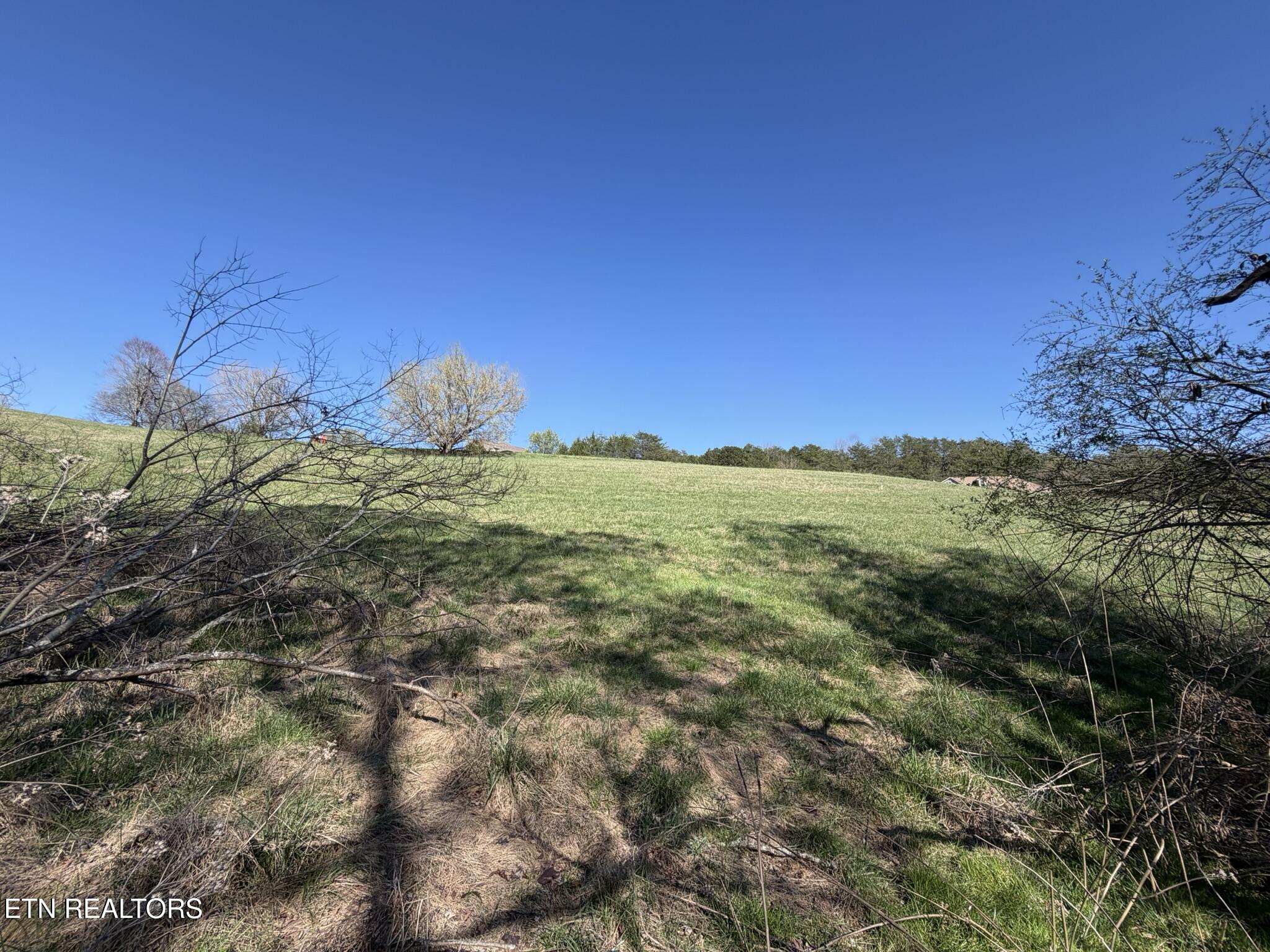 Lot 52 Marble Bluff Drive Kingston TN 37763