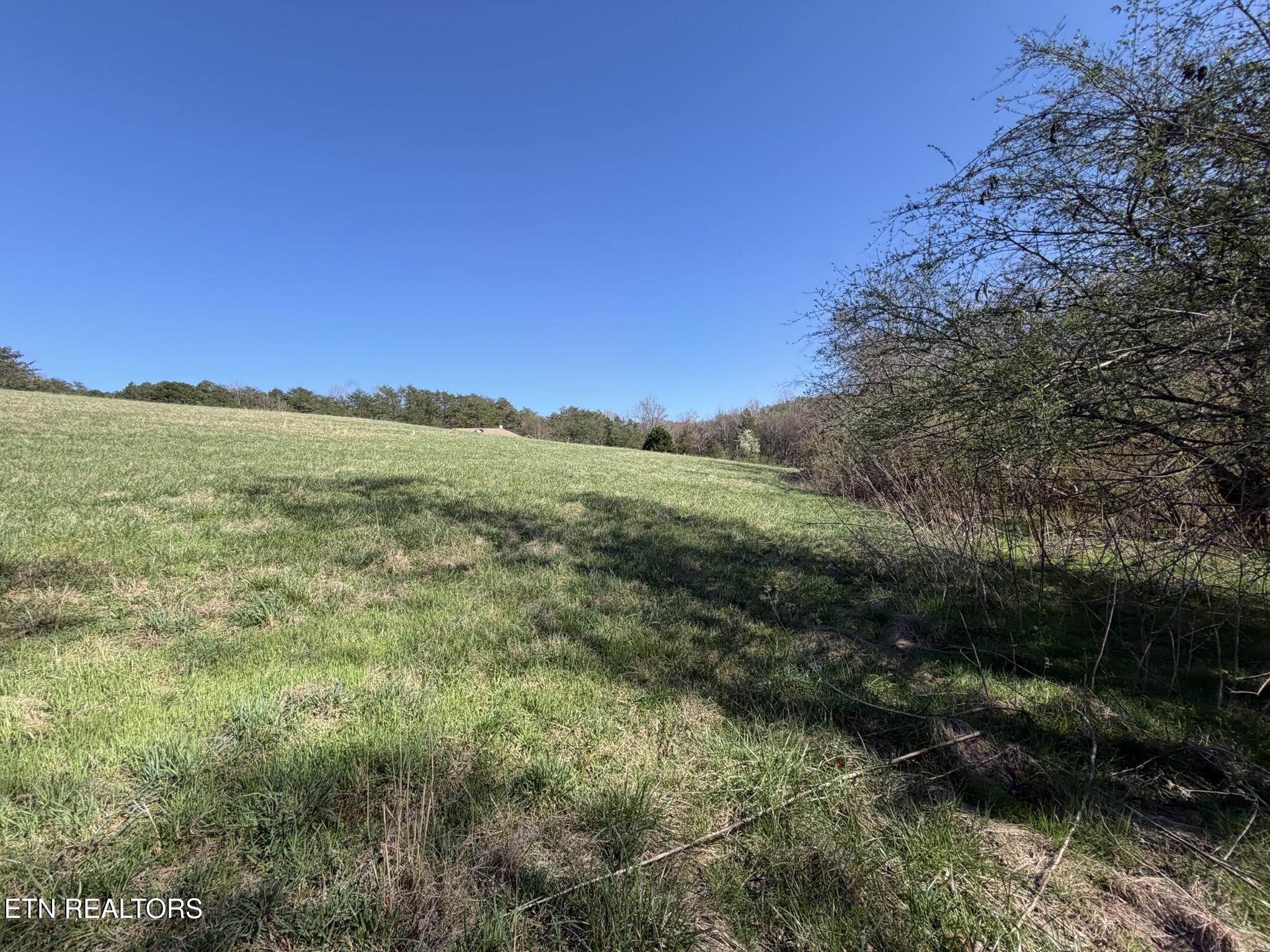 Lot 52 Marble Bluff Drive Kingston TN 37763