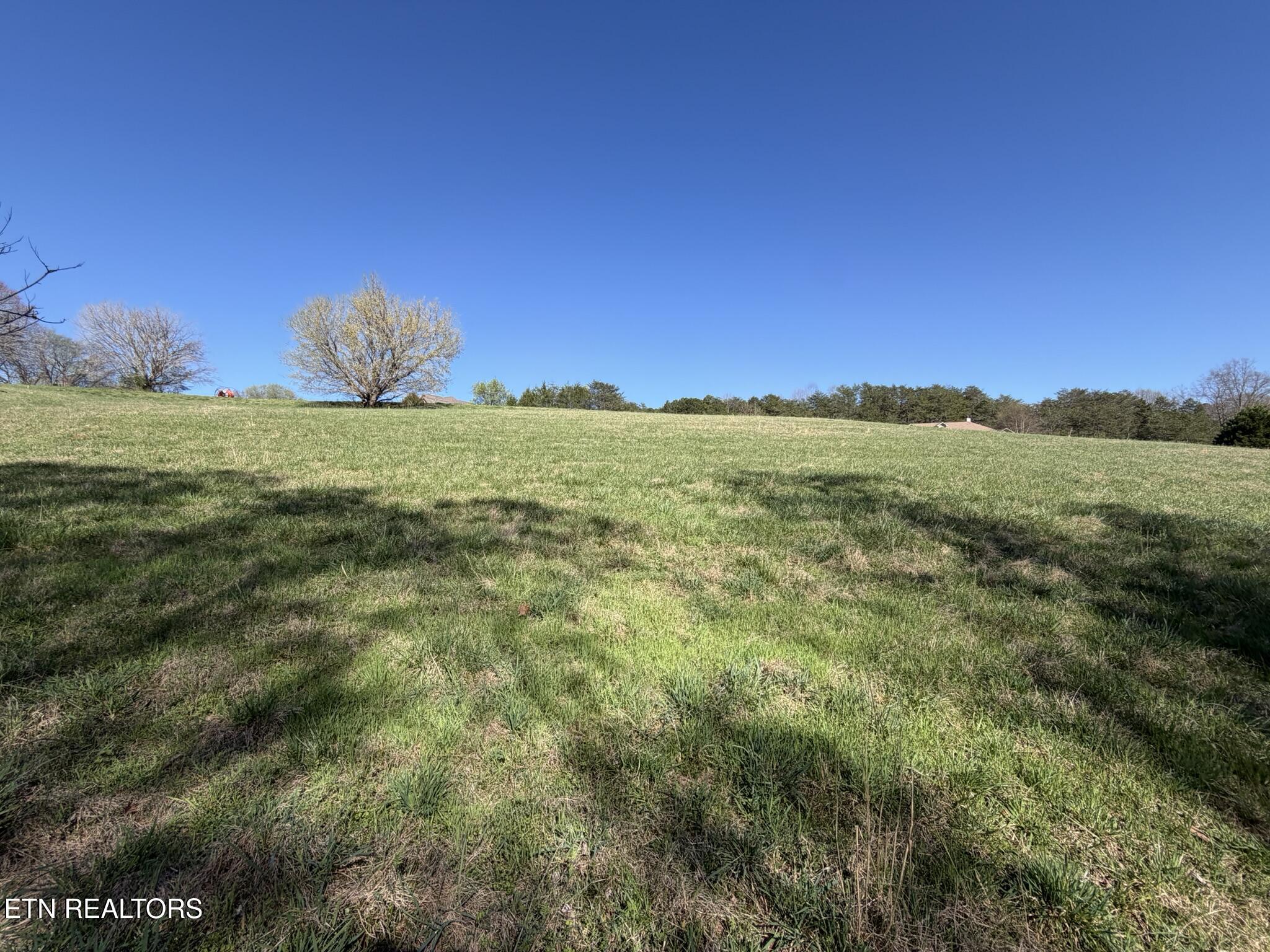Lot 52 Marble Bluff Drive Kingston TN 37763